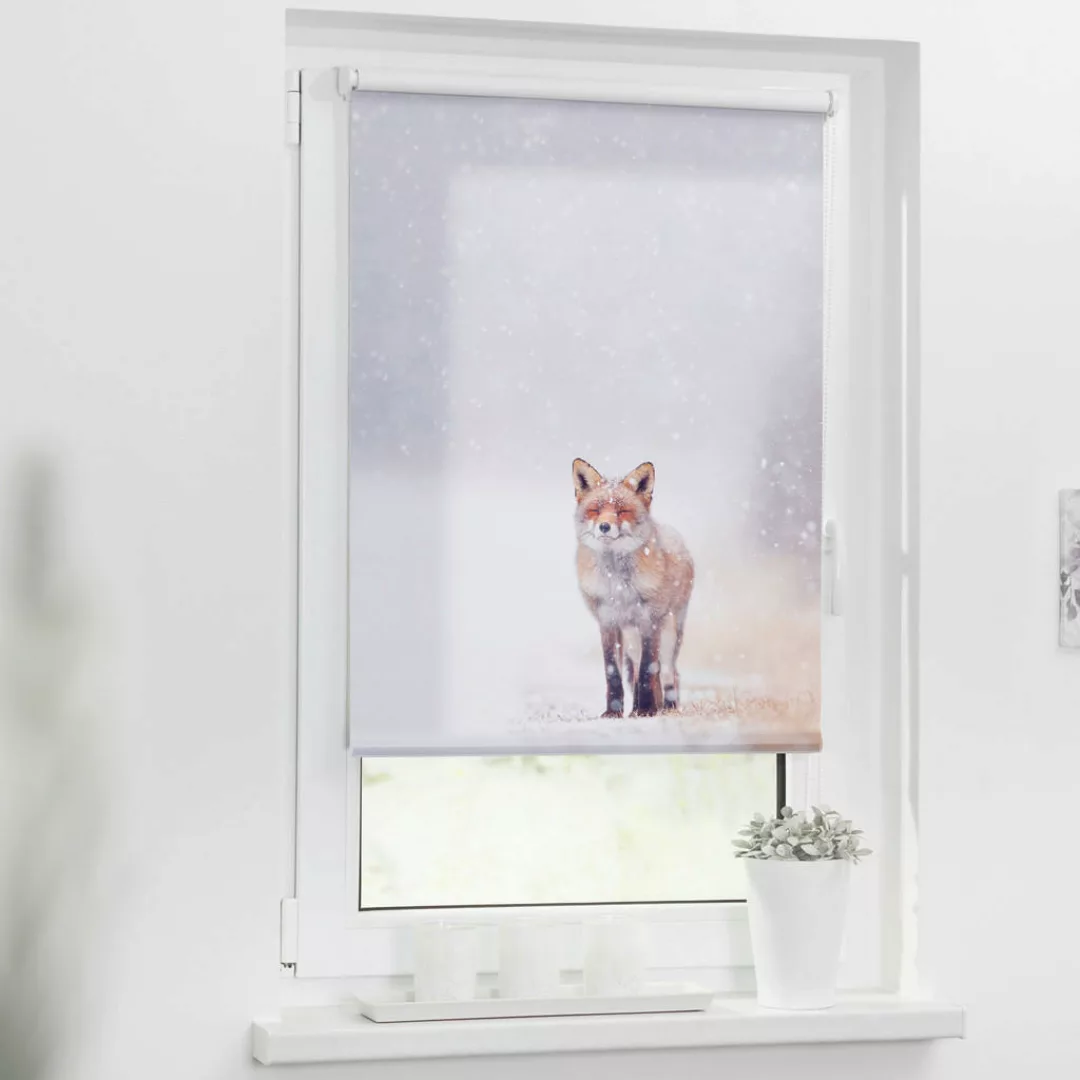 Verdunkelungsrollo Fuchs im Schnee weiß B/L: ca. 60x150 cm günstig online kaufen