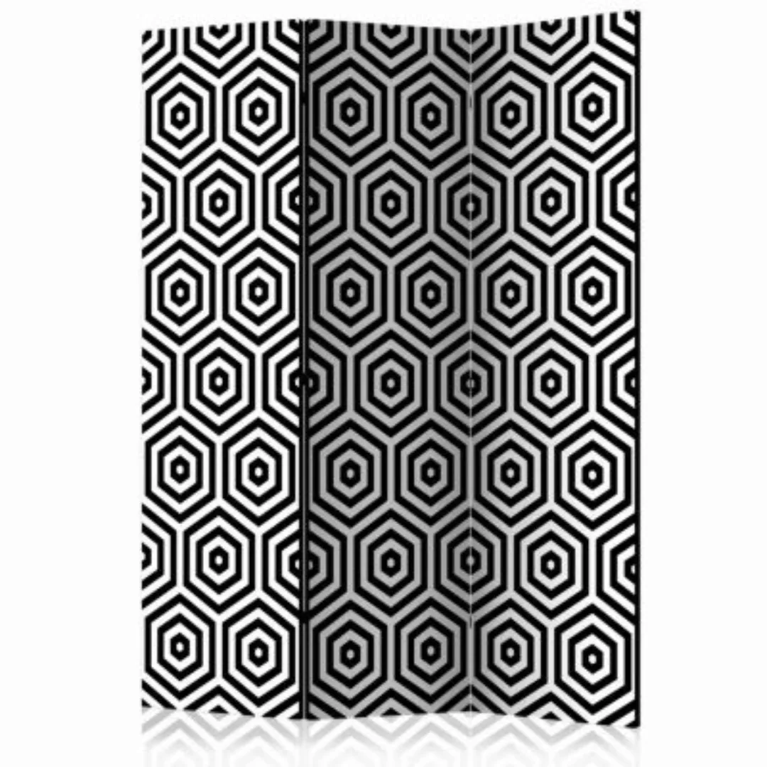 artgeist Paravent Black and White Hypnosis [Room Dividers] schwarz/weiß Gr. günstig online kaufen