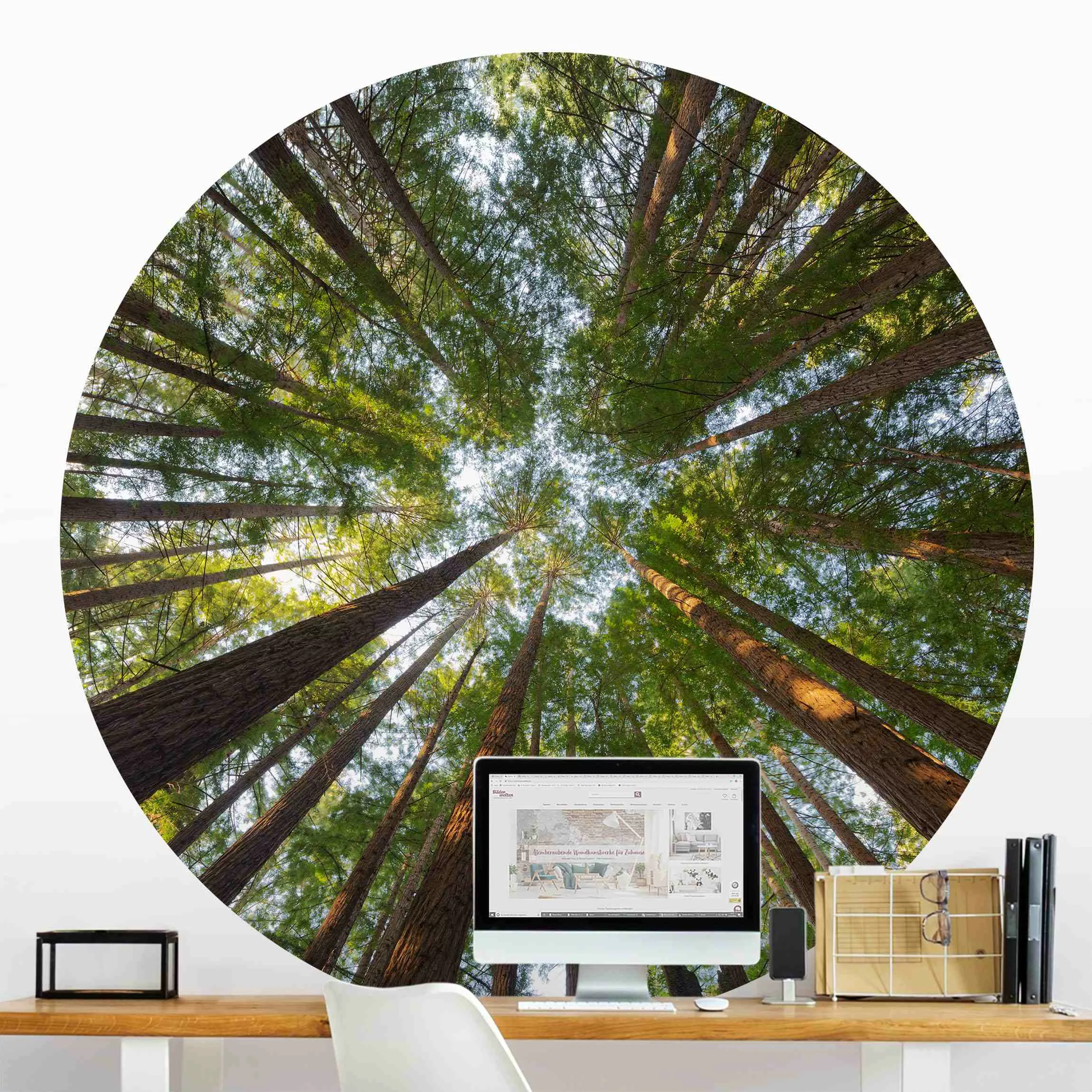 Runde Fototapete selbstklebend Mammutbaum Baumkronen günstig online kaufen