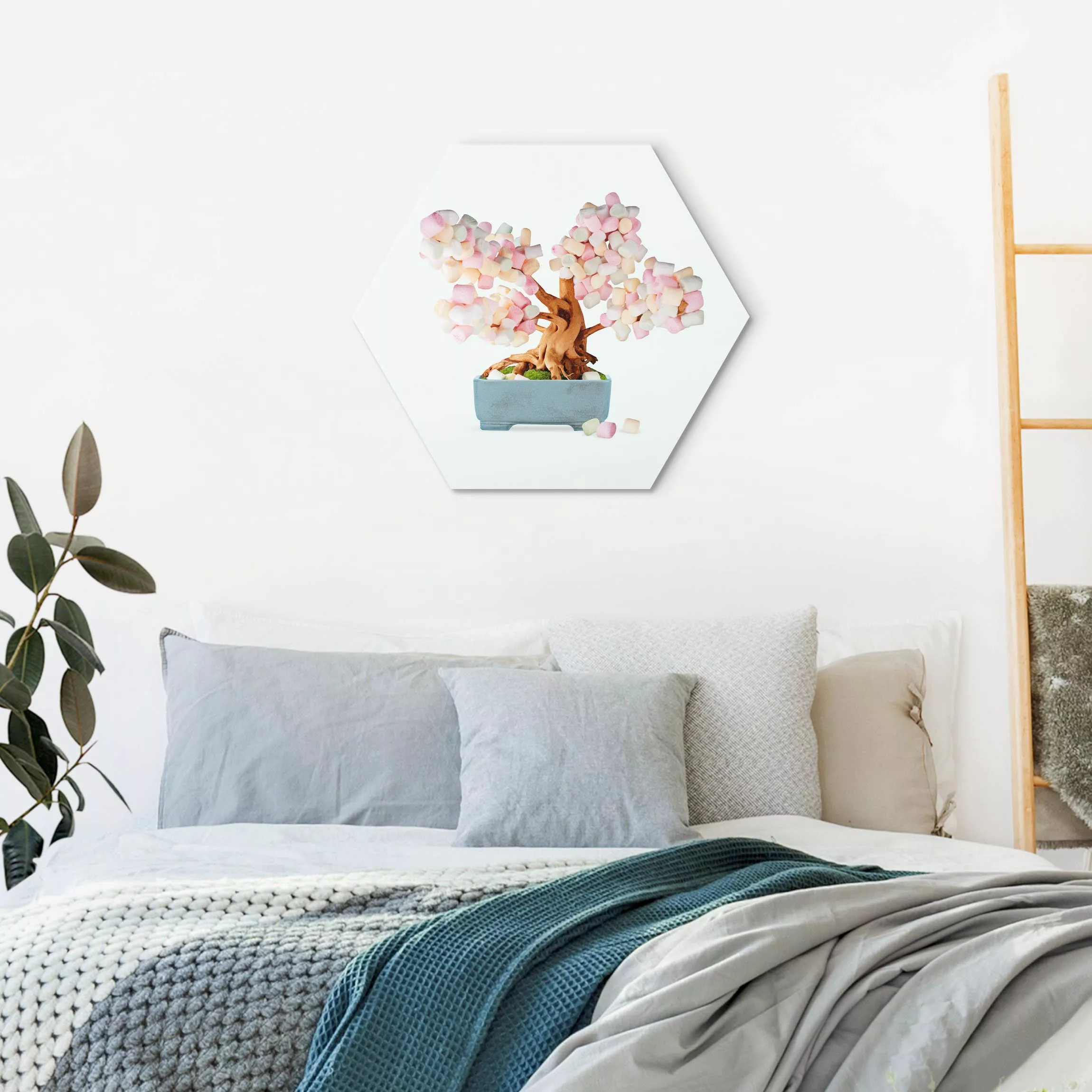 Hexagon-Alu-Dibond Bild Bonsai mit Marshmallows günstig online kaufen