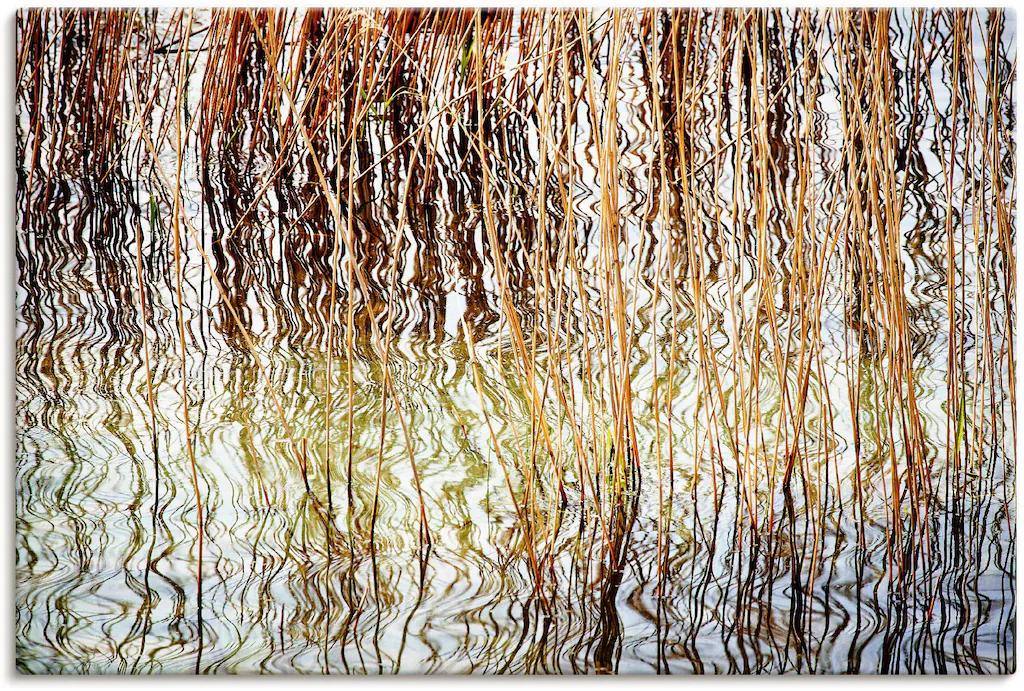 Artland Leinwandbild "Schilfrohr", Gräser, (1 St.), auf Keilrahmen gespannt günstig online kaufen
