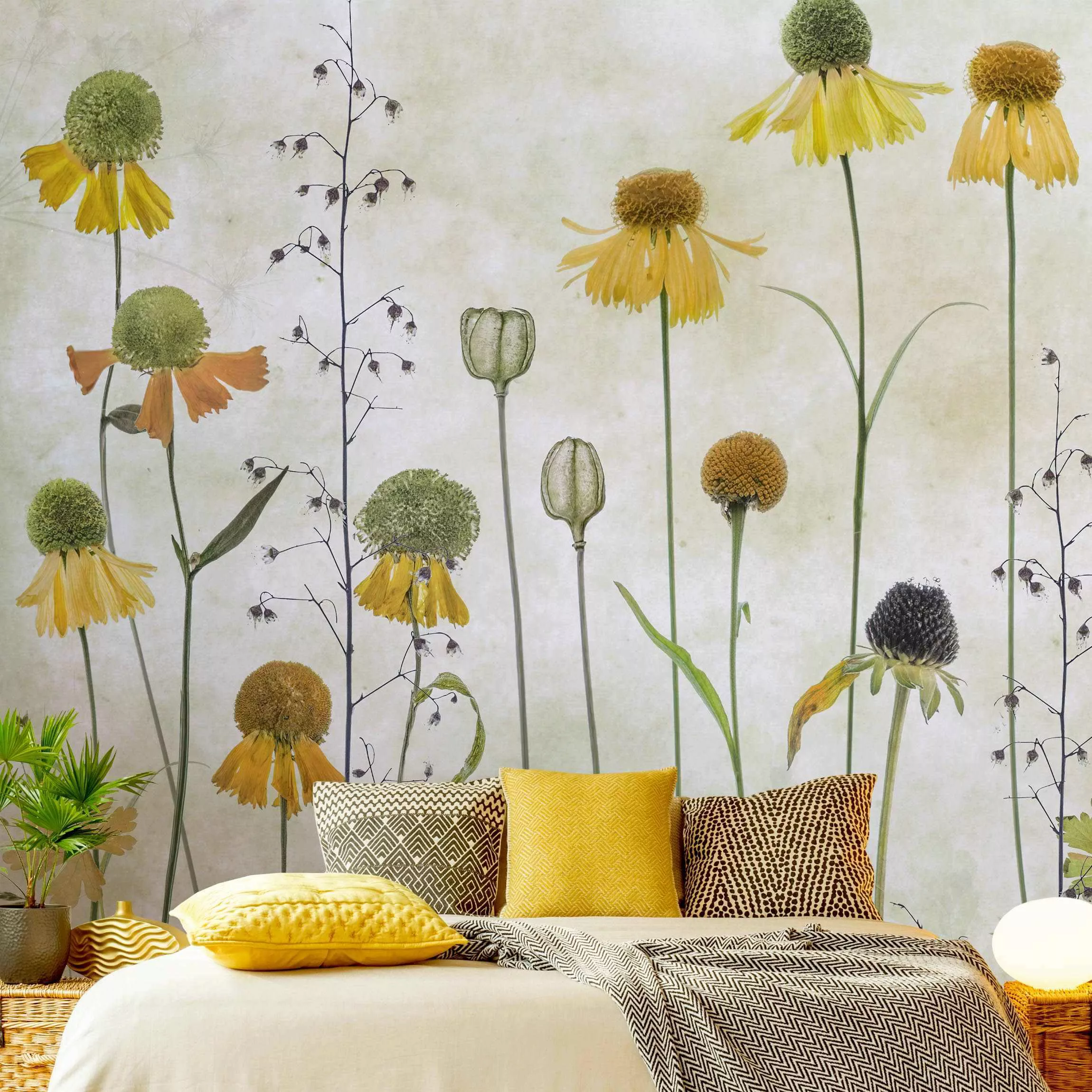 Fototapete Zarte Helenium Blüten günstig online kaufen