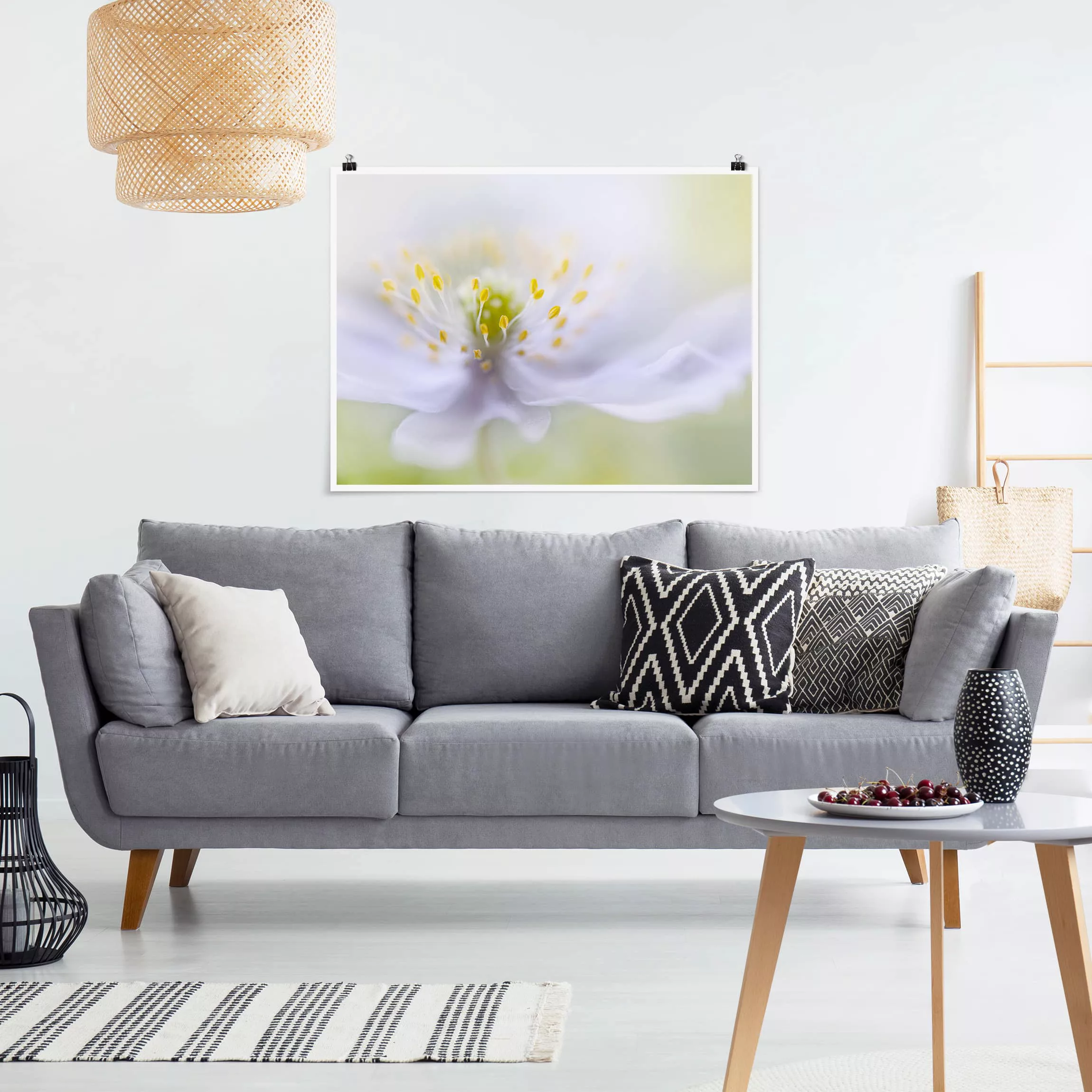 Poster Blumen - Querformat Anemonen Schönheit günstig online kaufen