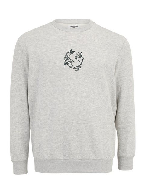 Jack & Jones Plus Sweatshirt JORKOI (1-tlg) günstig online kaufen