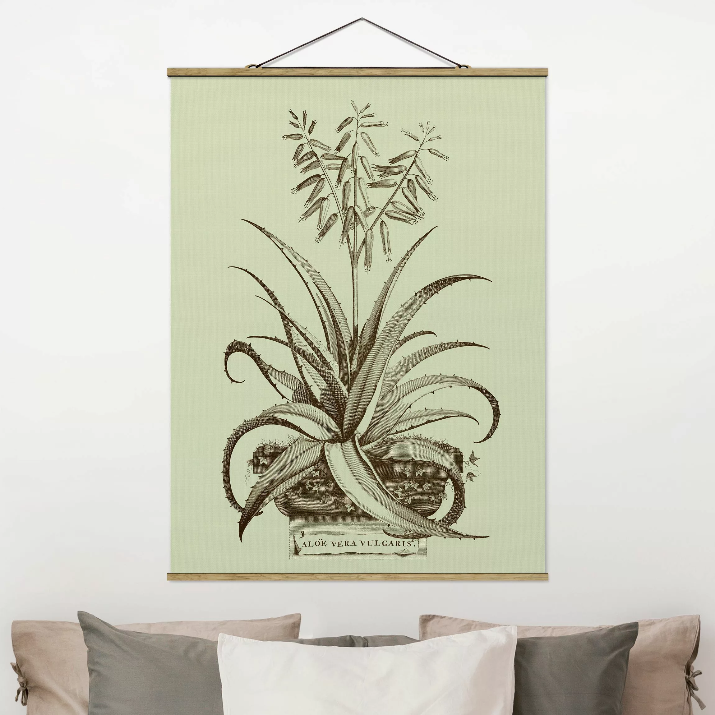 Stoffbild Blumen mit Posterleisten - Hochformat Vintage Aloe Vera Vulgaris günstig online kaufen
