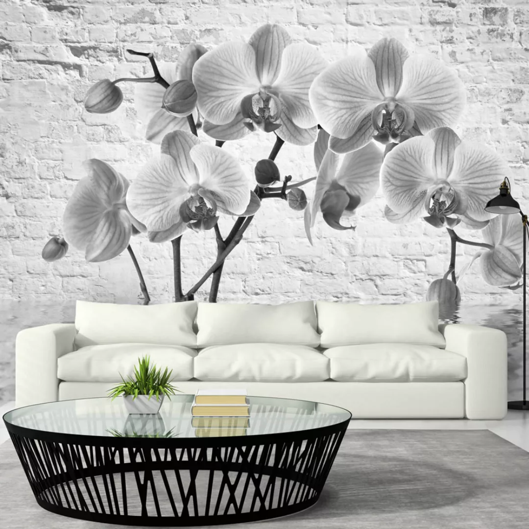 Fototapete - Orchid In Shades Of Gray günstig online kaufen
