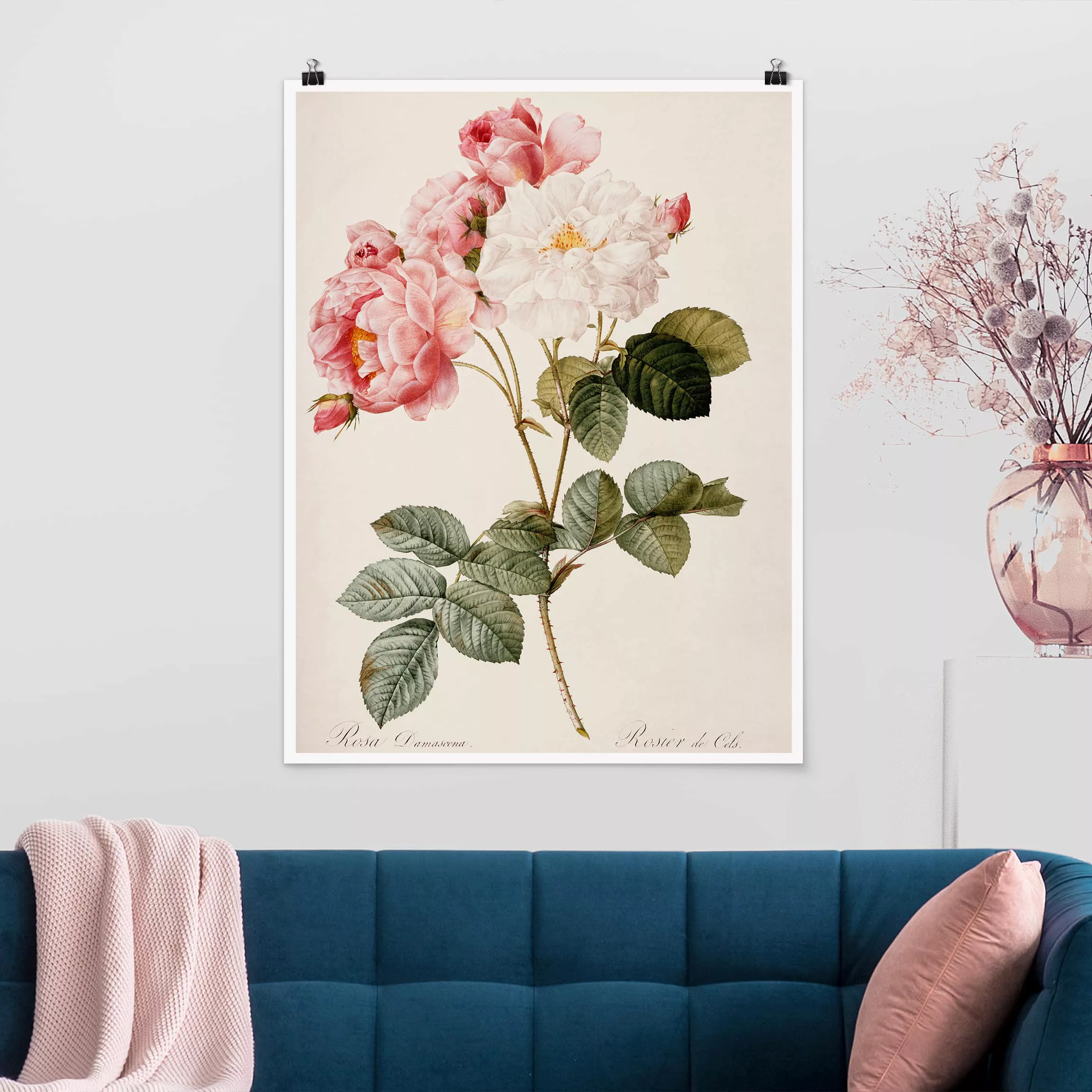 Poster Kunstdruck - Hochformat Pierre Joseph Redouté - Damaszener-Rose günstig online kaufen