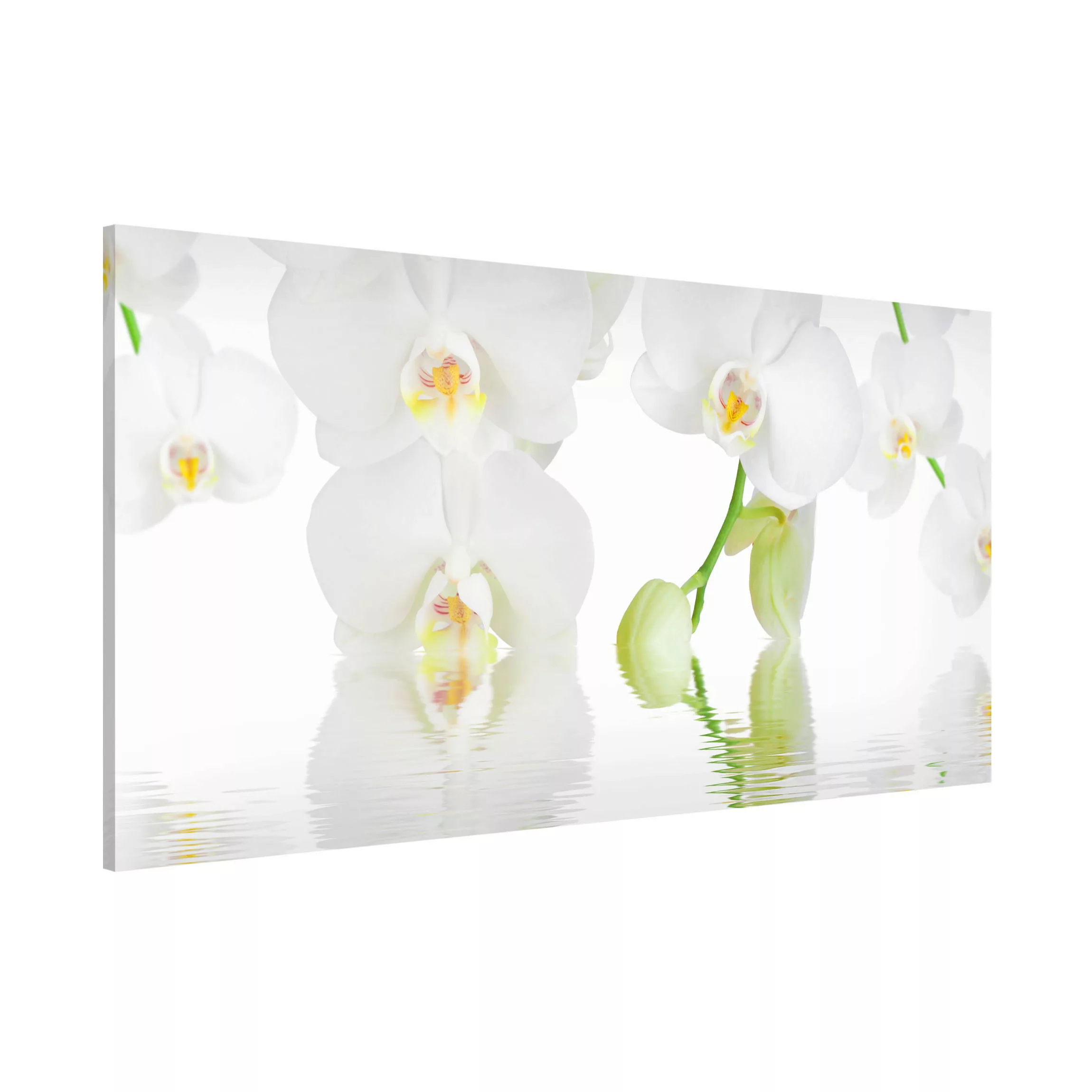 Magnettafel Blumen - Querformat 2:1 Orchideen Wellness Orchidee günstig online kaufen