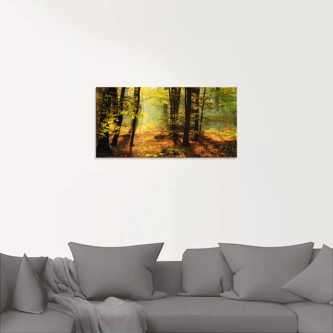 Artland Glasbild »Herbstlicht im Wald«, Wald, (1 St.), in verschiedenen Grö günstig online kaufen