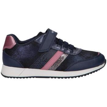 Geox  Sneaker J166FA 0HS54 J JENSEA günstig online kaufen