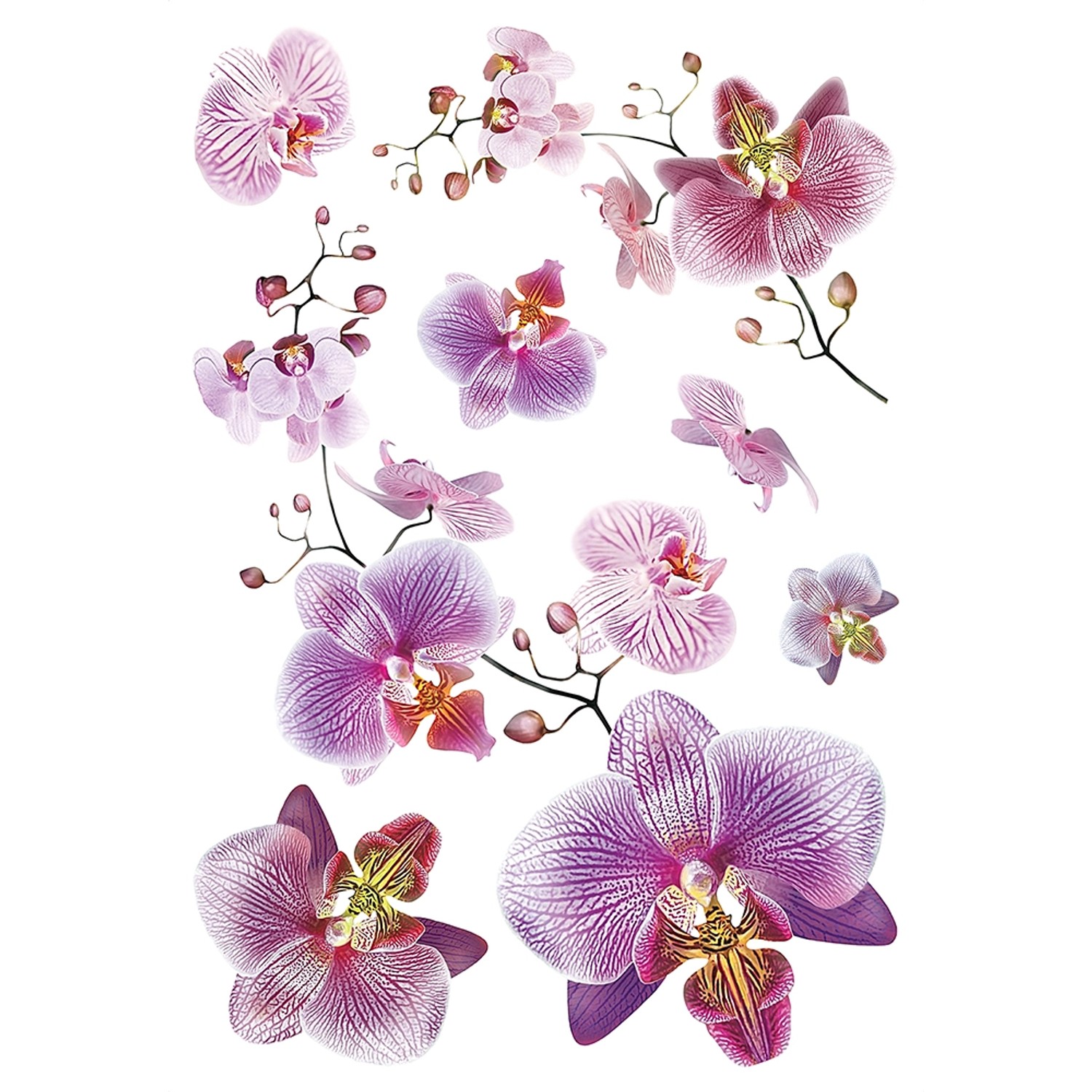 Sanders & Sanders Wandtattoo Blumen Rosa und Violett 42,5 x 65 cm 600321 günstig online kaufen