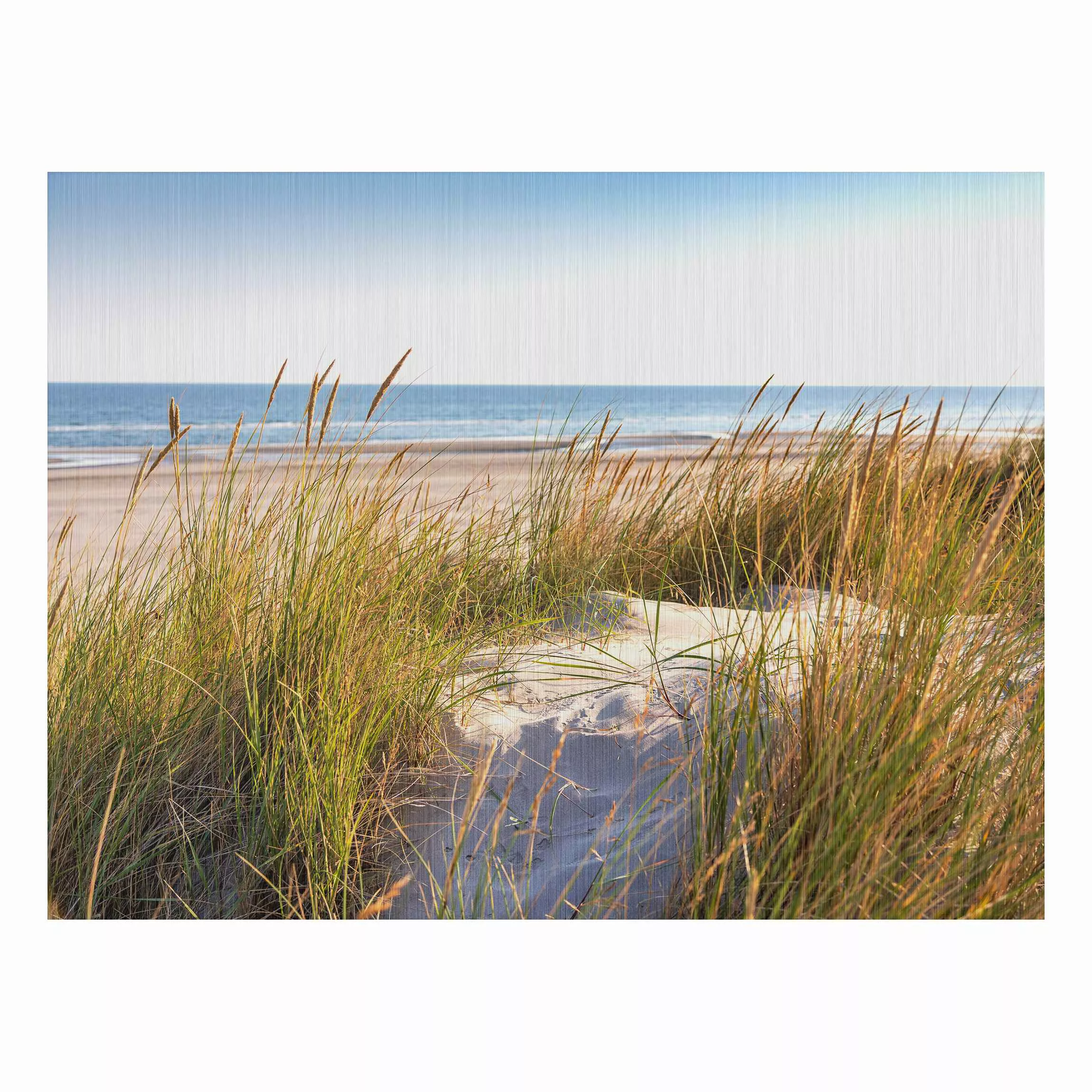 Alu-Dibond Bild Natur & Landschaft - Querformat 4:3 Stranddüne am Meer günstig online kaufen