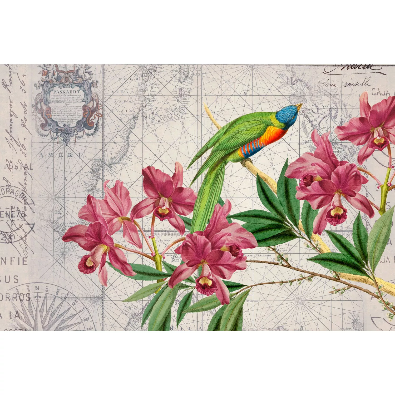 Fototapete Weltkarte Vogel Blumen Bunt Grün Rosa 4,00 m x 2,70 m FSC® günstig online kaufen
