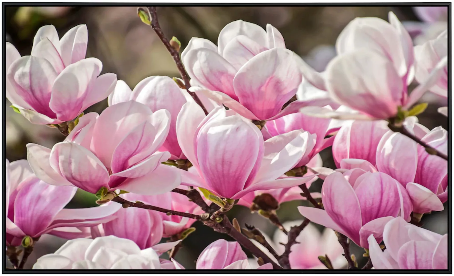 Papermoon Infrarotheizung »Magnolienblumen«, sehr angenehme Strahlungswärme günstig online kaufen
