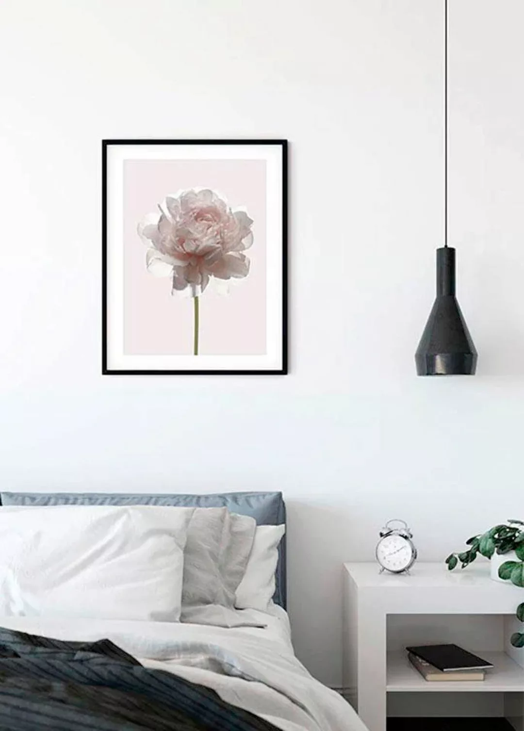 Komar Poster "Rose", Blumen, (1 St.), Kinderzimmer, Schlafzimmer, Wohnzimme günstig online kaufen