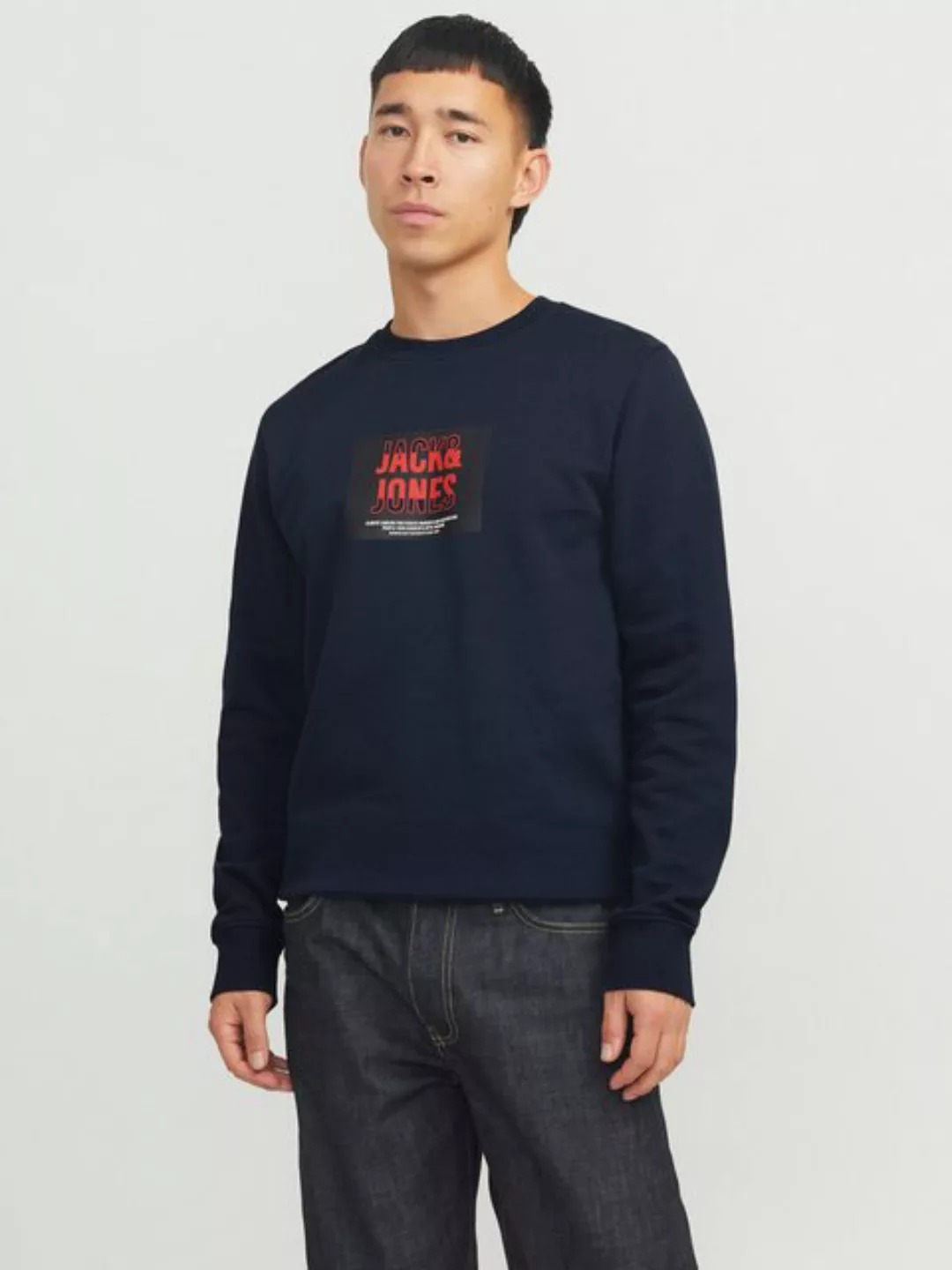 Jack & Jones Sweatshirt JJHUDSON SWEAT CREW NECK günstig online kaufen