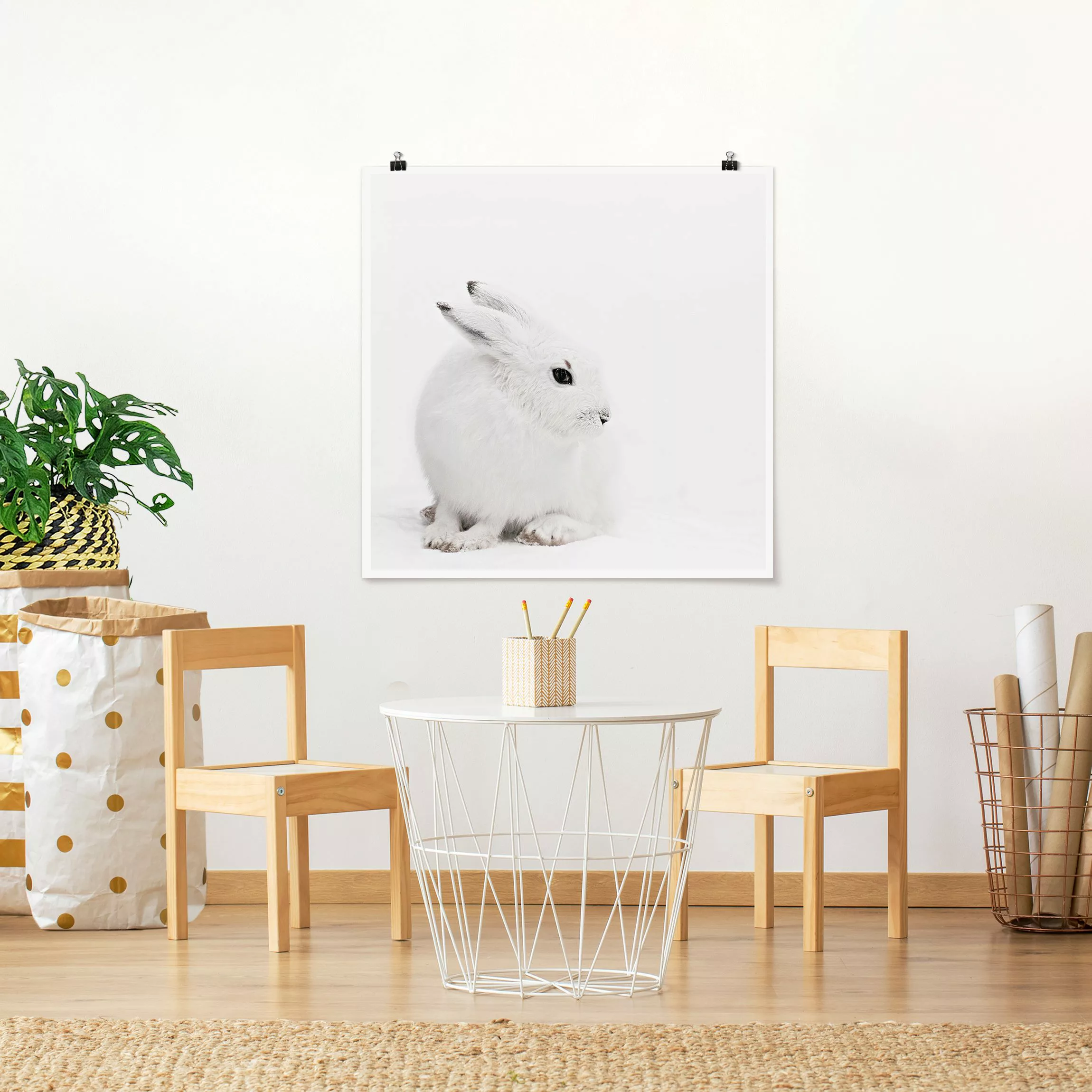 Poster Arktischer Hase günstig online kaufen