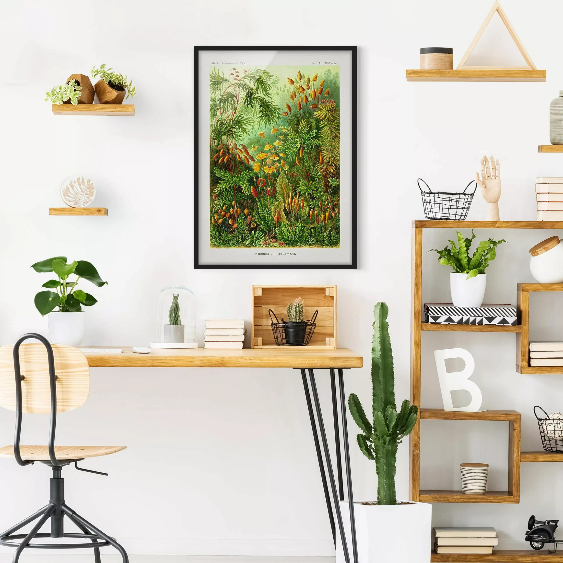 Bild mit Rahmen Blumen - Hochformat Vintage Lehrtafel Moos günstig online kaufen