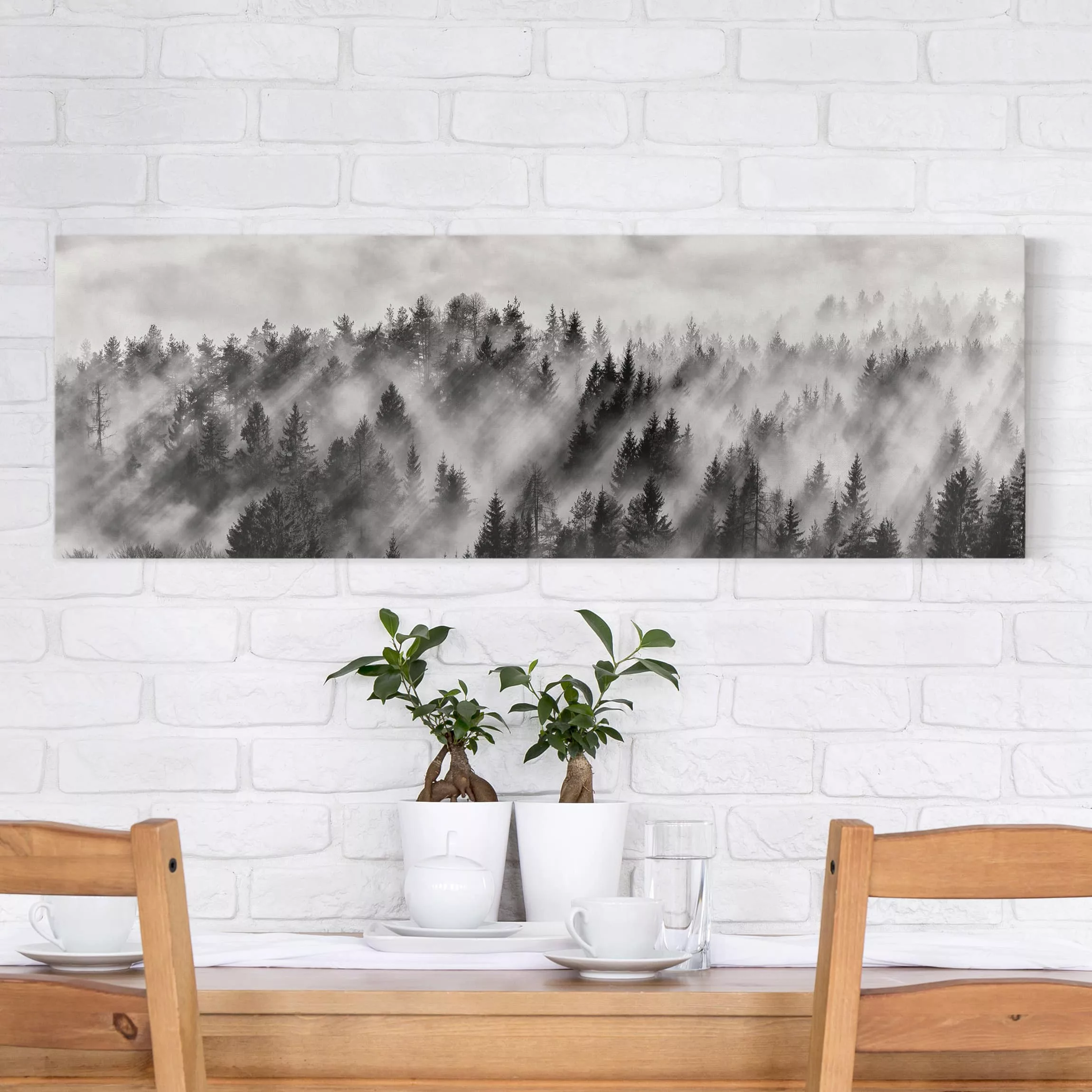 Leinwandbild Schwarz-Weiß - Panorama Lichtstrahlen im Nadelwald günstig online kaufen