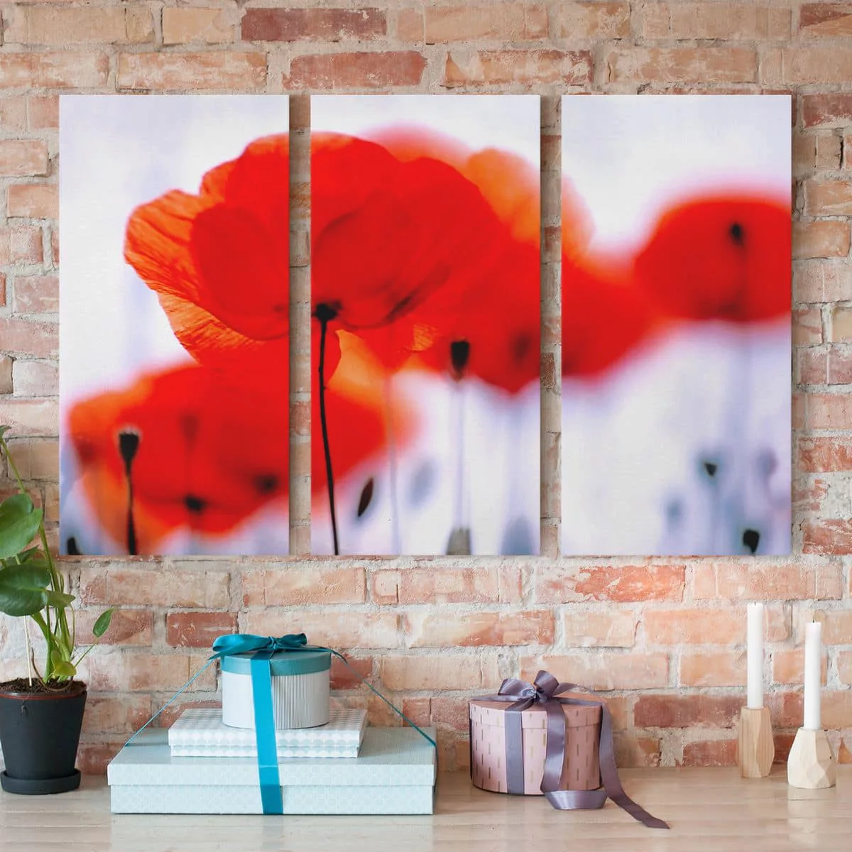 3-teiliges Leinwandbild Blumen - Querformat Magic Poppies günstig online kaufen