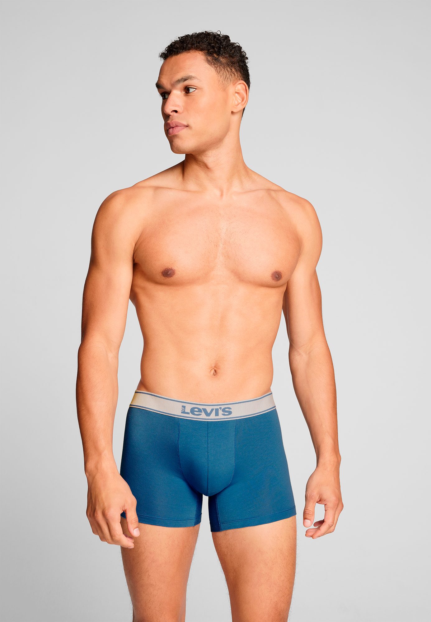 Levis Boxershorts "LEVIS MEN VNTG HTR BOXER BRIEF ORG CO 2P", (2er Pack), m günstig online kaufen