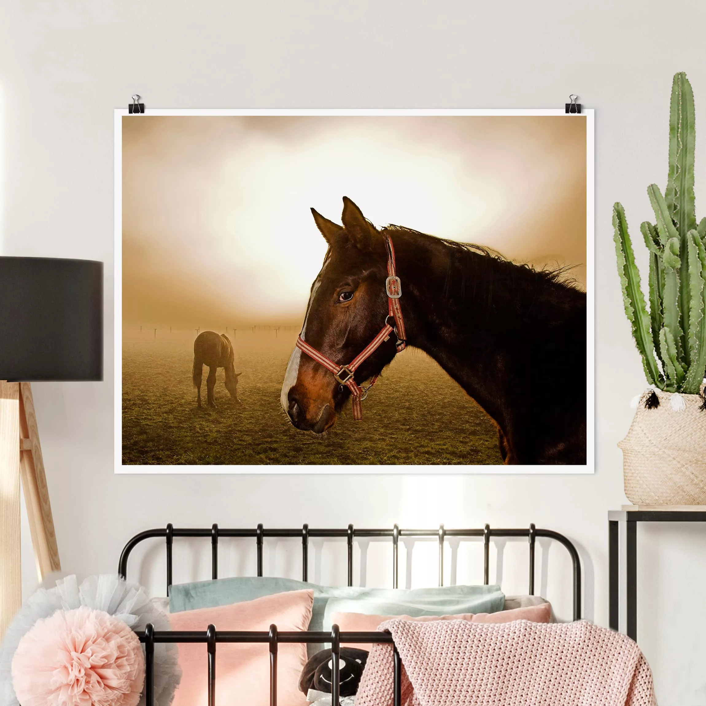 Poster Tiere - Querformat Early Horse günstig online kaufen