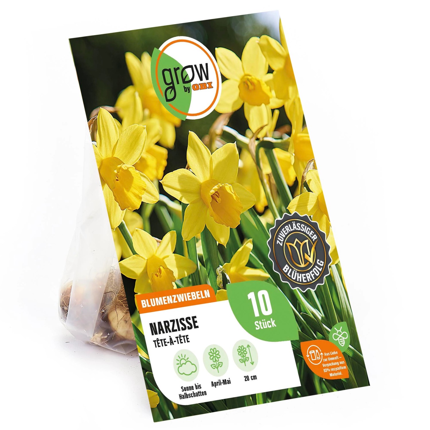 GROW by OBI Narzisse TEte-à-TEte Gelb 10 Stück Narcissus TEte-à-TEte günstig online kaufen