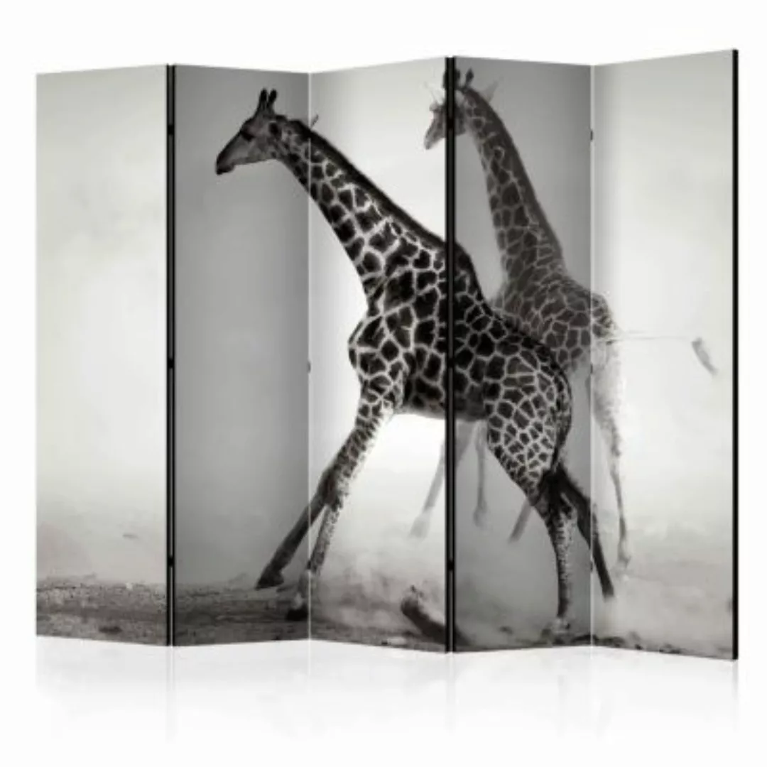 artgeist Paravent Giraffes II [Room Dividers] schwarz/weiß Gr. 225 x 172 günstig online kaufen
