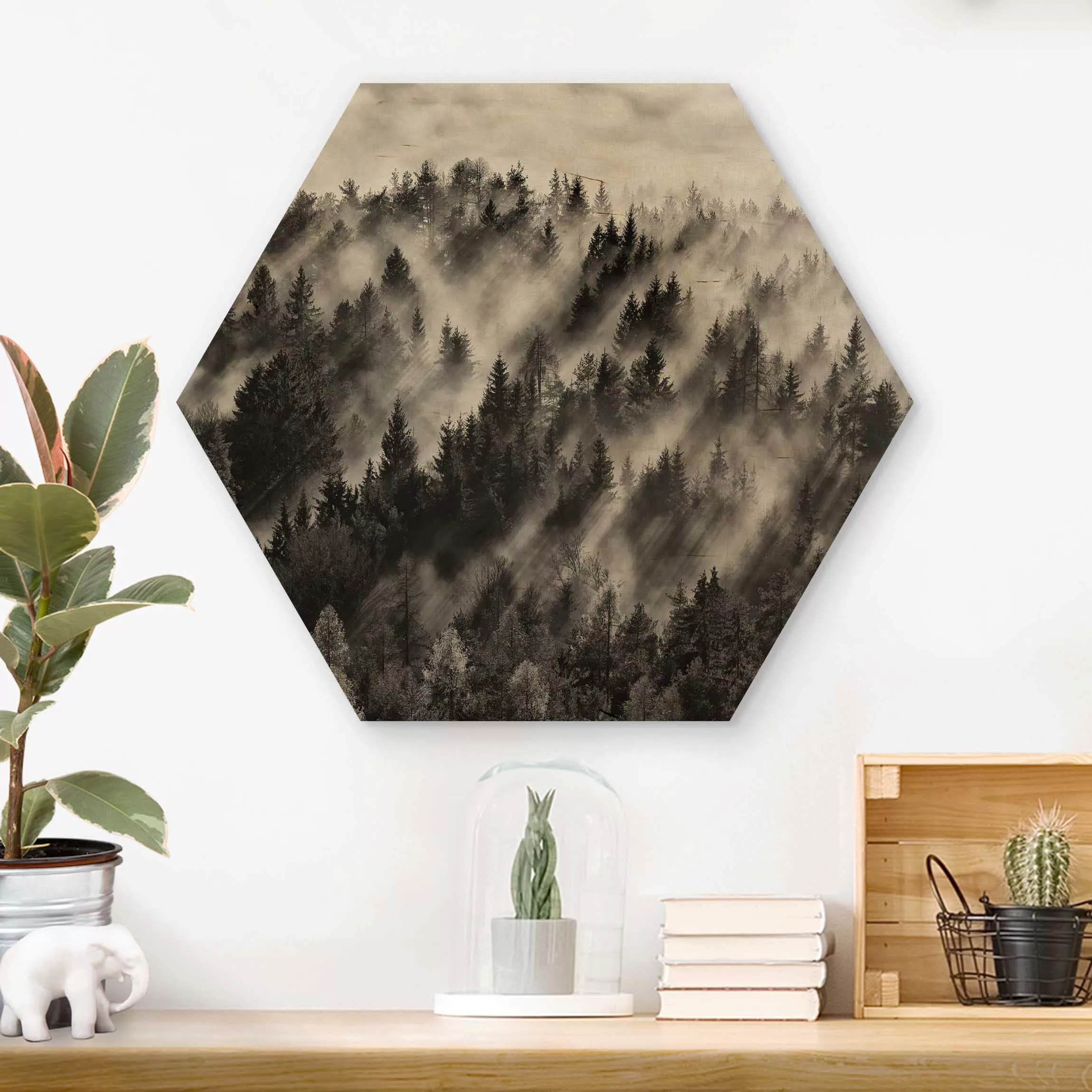 Hexagon-Holzbild Natur & Landschaft Lichtstrahlen im Nadelwald günstig online kaufen