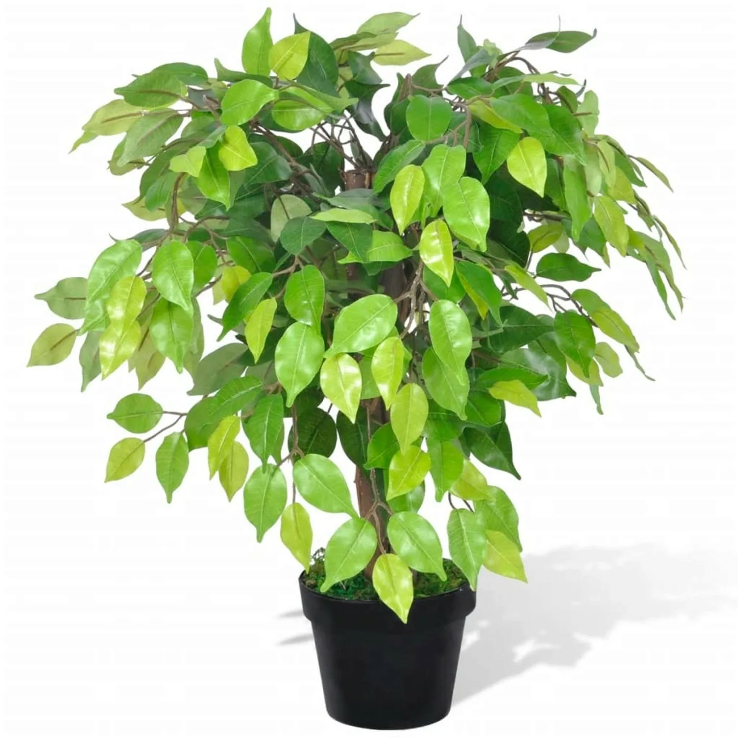 vidaXL Künstlicher Zwerg-Ficus mit Topf 60 cm günstig online kaufen