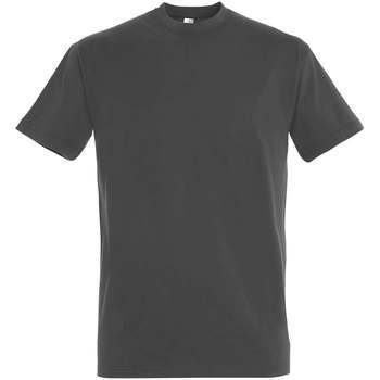 Sols  T-Shirt IMPERIAL camiseta color Gris Oscuro-100% algodón günstig online kaufen