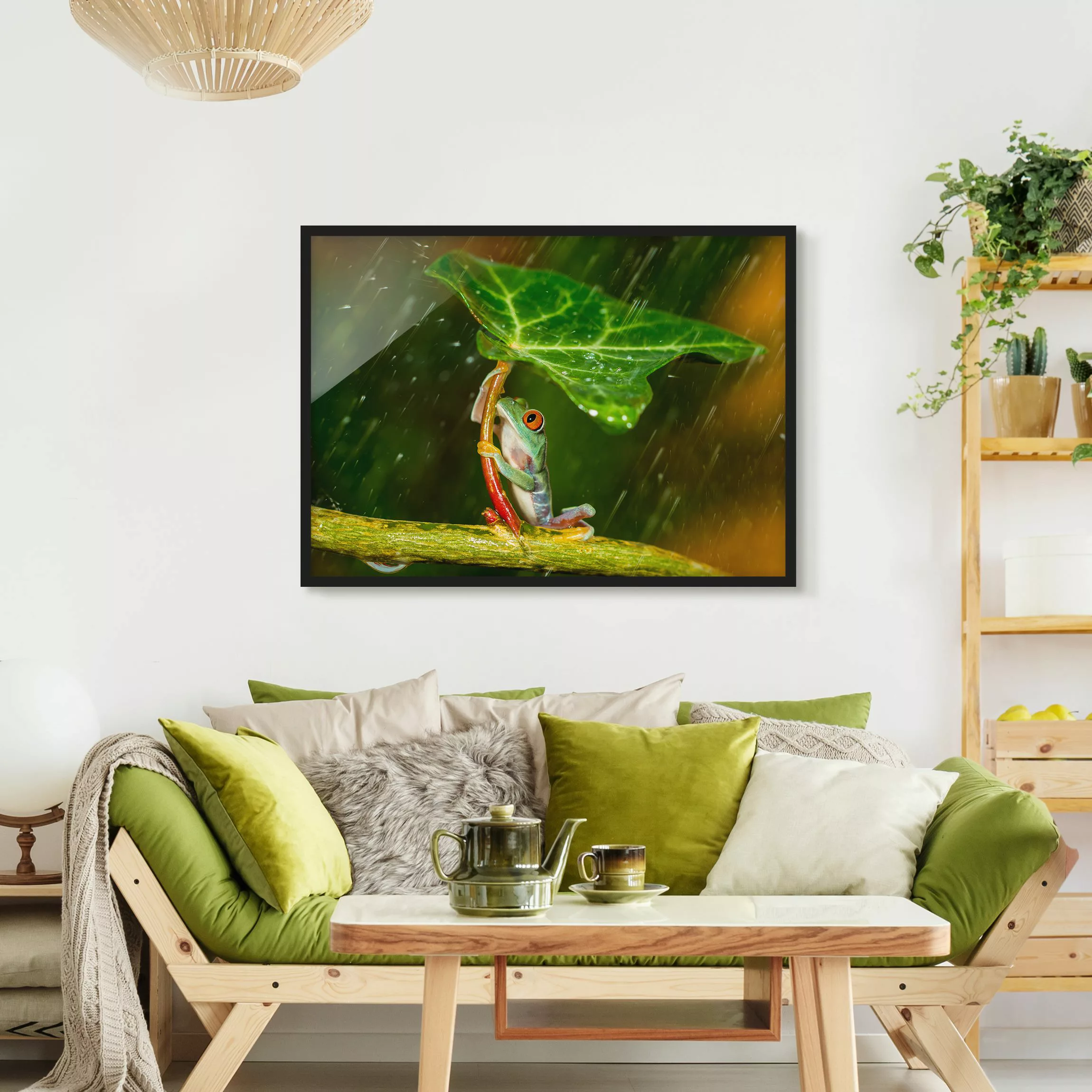 Bild mit Rahmen Tiere - Querformat Ein Frosch im Regen günstig online kaufen