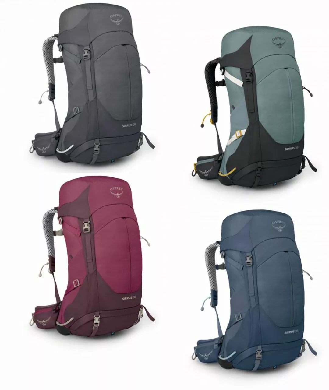 Osprey Sirrus 36 Women - Tourenrucksack günstig online kaufen