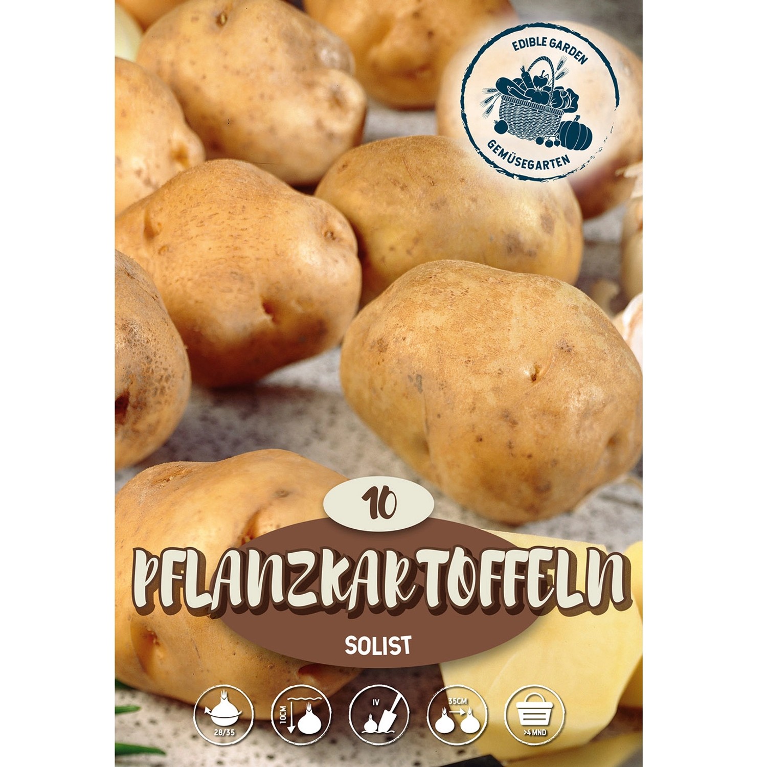 Pflanzkartoffeln ''Frieslander'' 10 Stück Braun Solanum tuberosum günstig online kaufen
