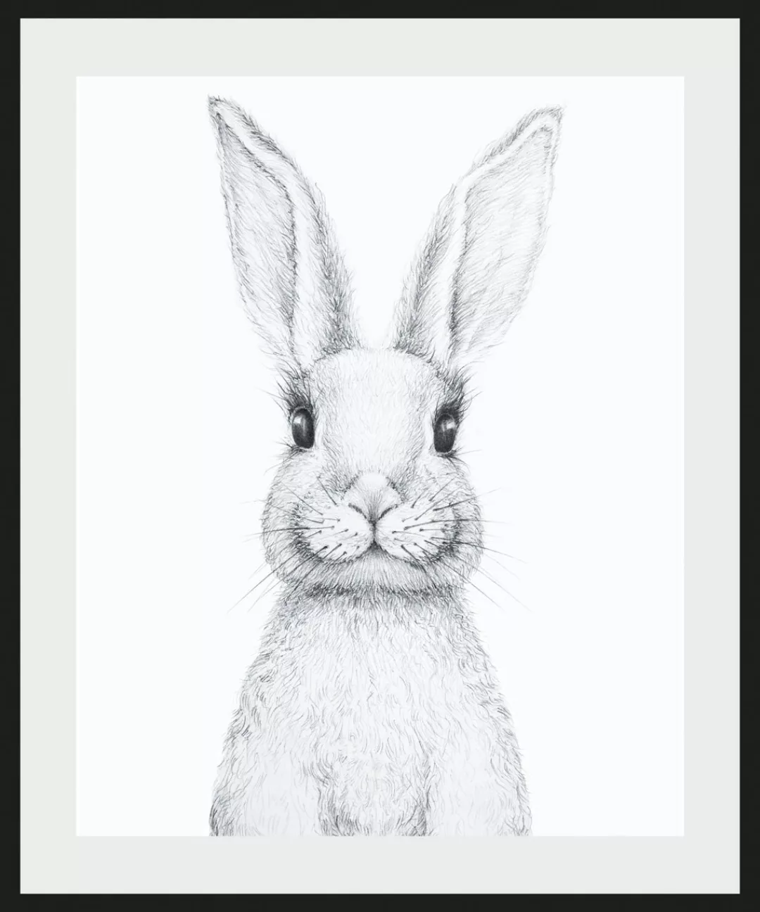 queence Bild »Aleksi«, Hase-Hasen-Schwarz-Weiß-Kunst-Haustiere, (1 St.), HD günstig online kaufen