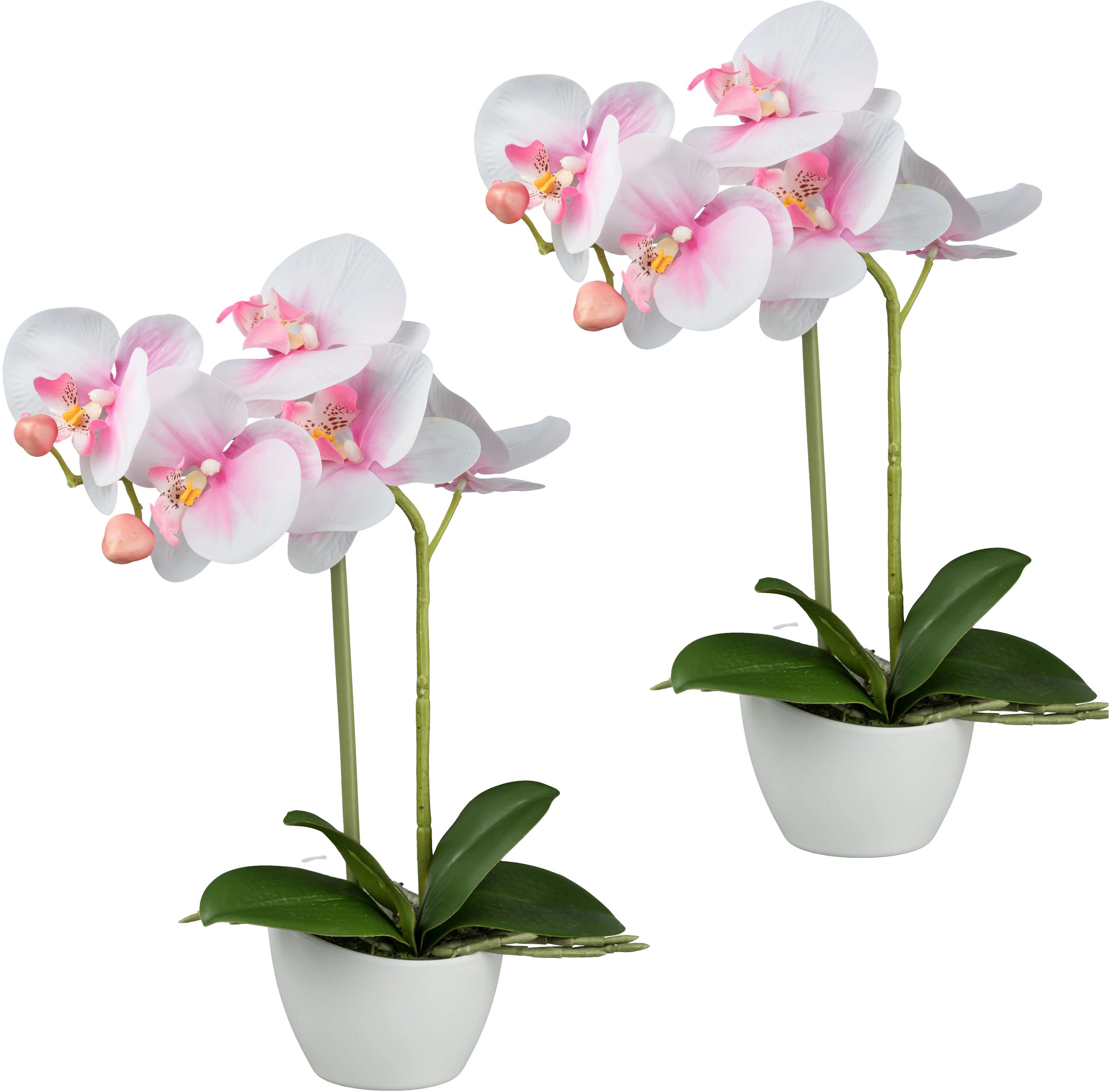 Creativ green Kunstorchidee "Orchidee Phalaenopsis", im weißen Design-Topf günstig online kaufen