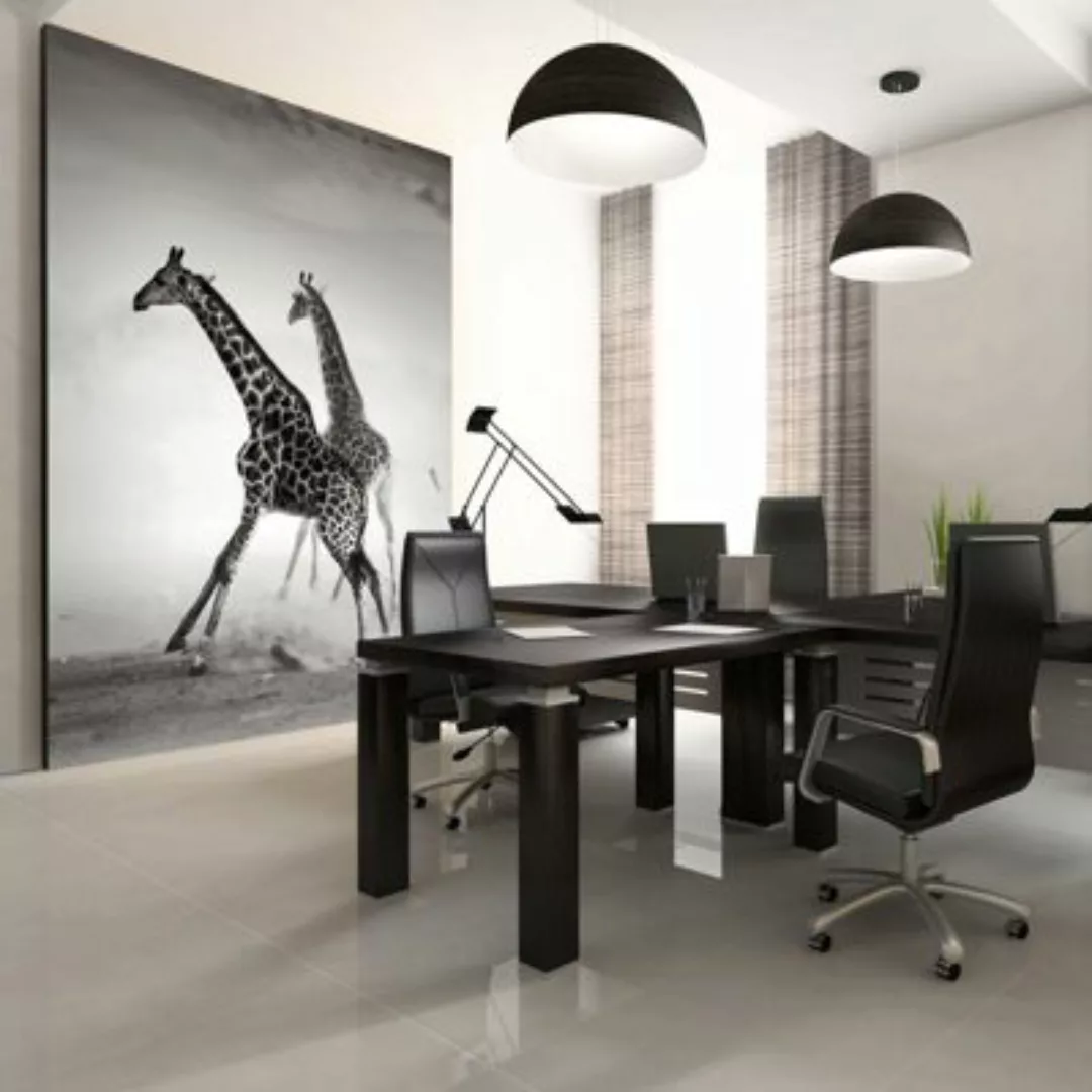 artgeist Fototapete Giraffen schwarz/weiß Gr. 300 x 231 günstig online kaufen