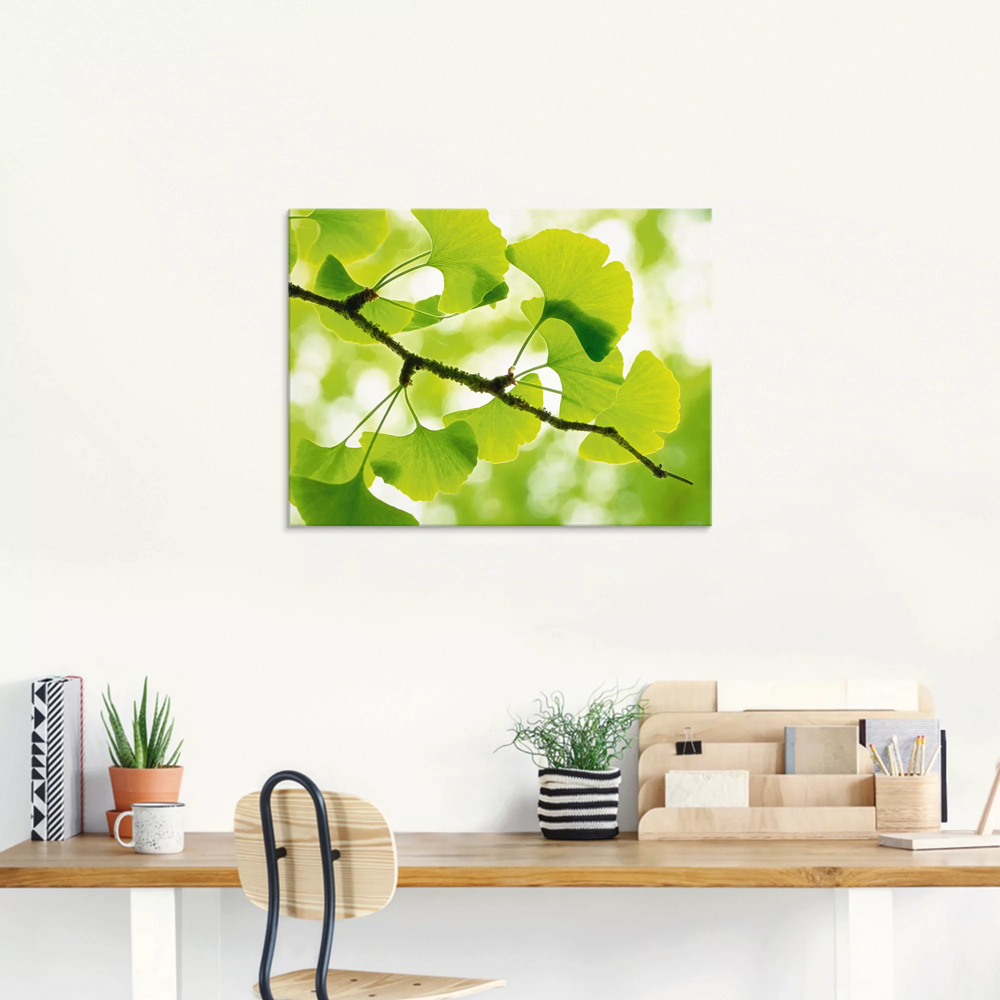 Artland Glasbild "Ginkgo", Blätter, (1 St.), in verschiedenen Größen günstig online kaufen