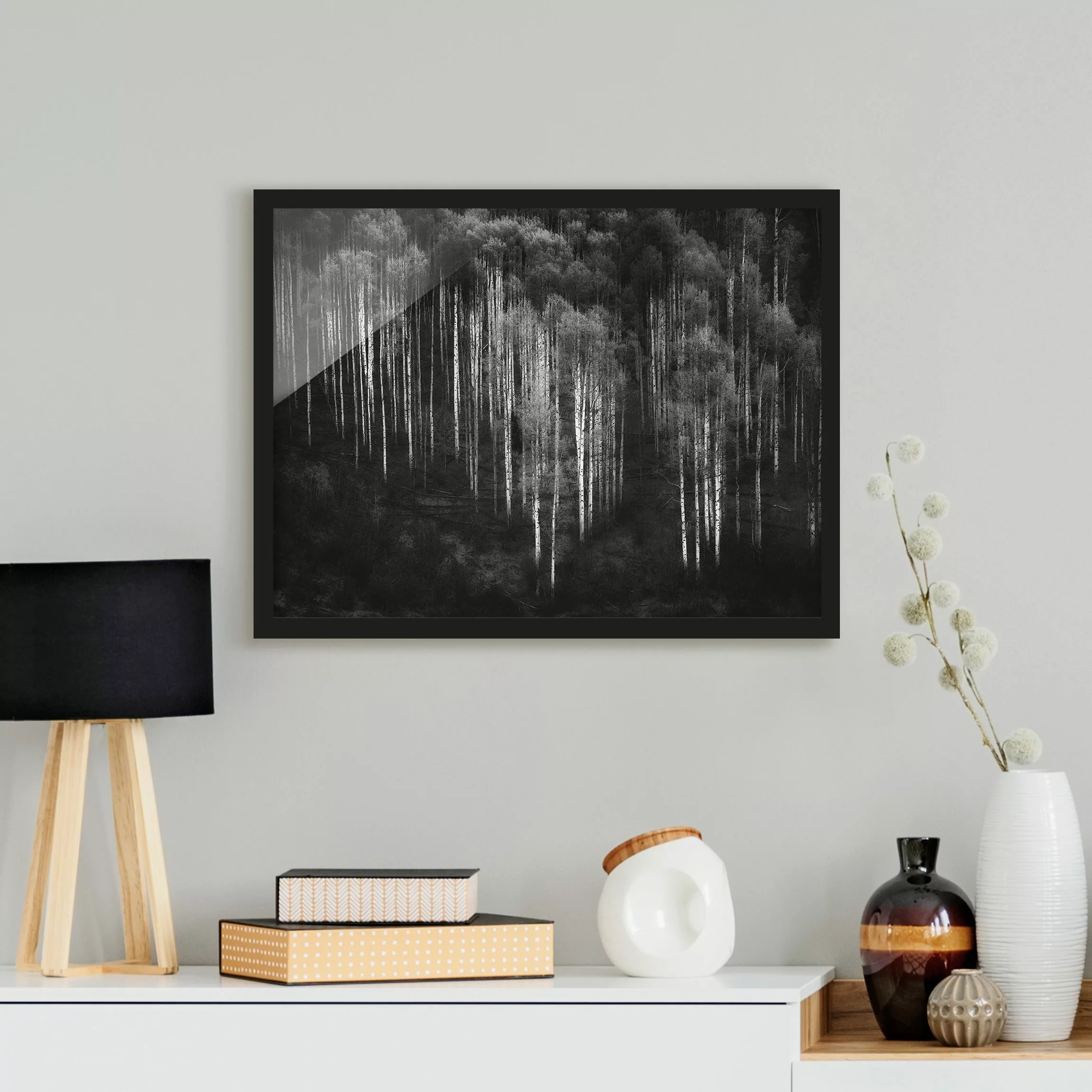 Bild mit Rahmen Natur & Landschaft - Querformat Birkenwald in Aspen günstig online kaufen