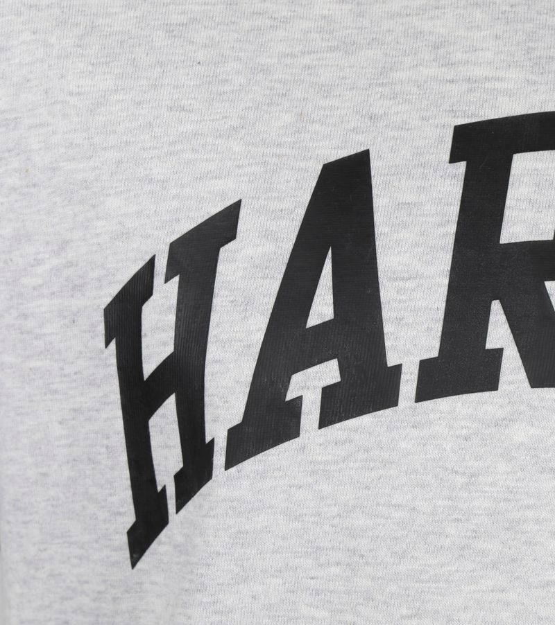 Champion T-Shirt Grau Harvard - Größe M günstig online kaufen