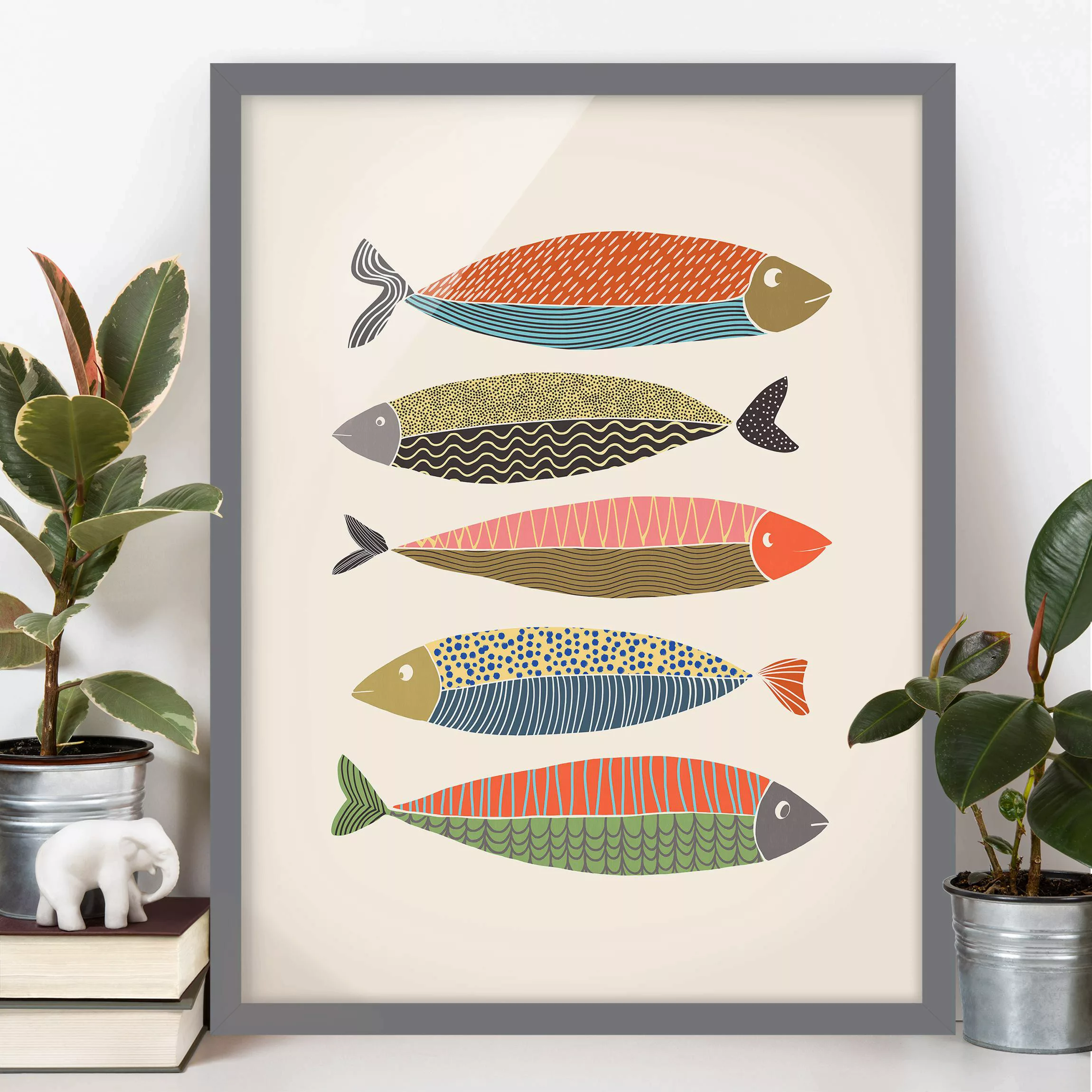 Bild mit Rahmen Fünf Bunte Fische günstig online kaufen