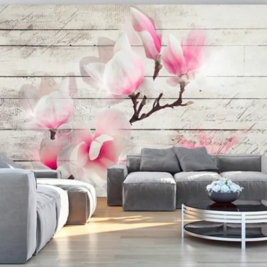 artgeist Fototapete Gentleness of the Magnolia mehrfarbig Gr. 250 x 175 günstig online kaufen