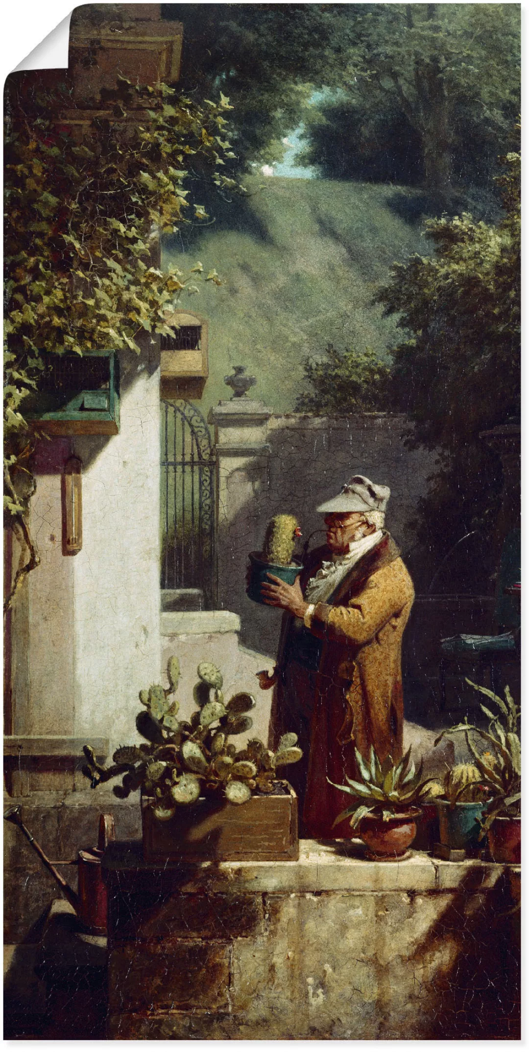 Artland Wandbild "Der Kaktusfreund. Vor 1858", Mann, (1 St.), als Leinwandb günstig online kaufen