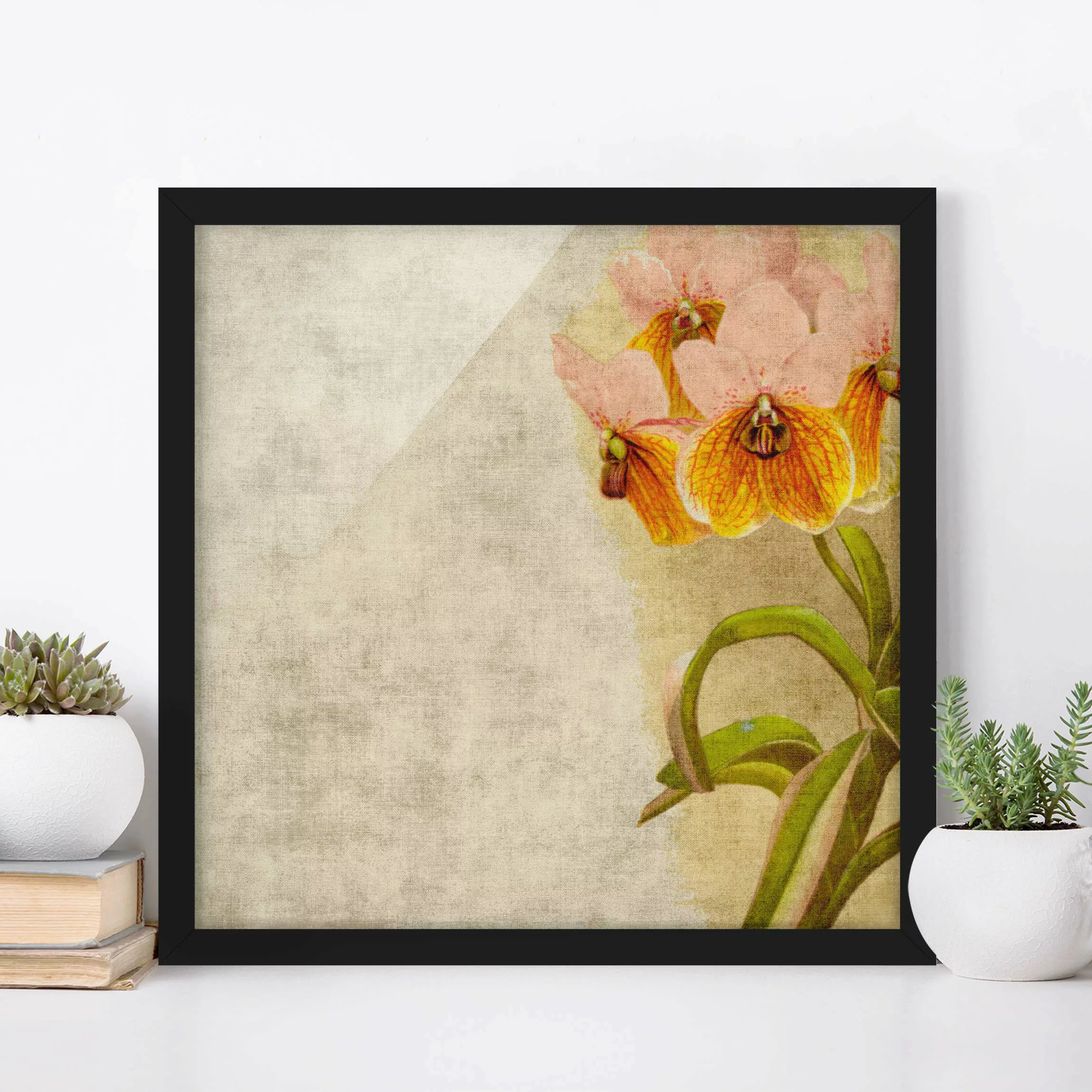 Bild mit Rahmen Blumen - Quadrat Forgotten Beauties III günstig online kaufen