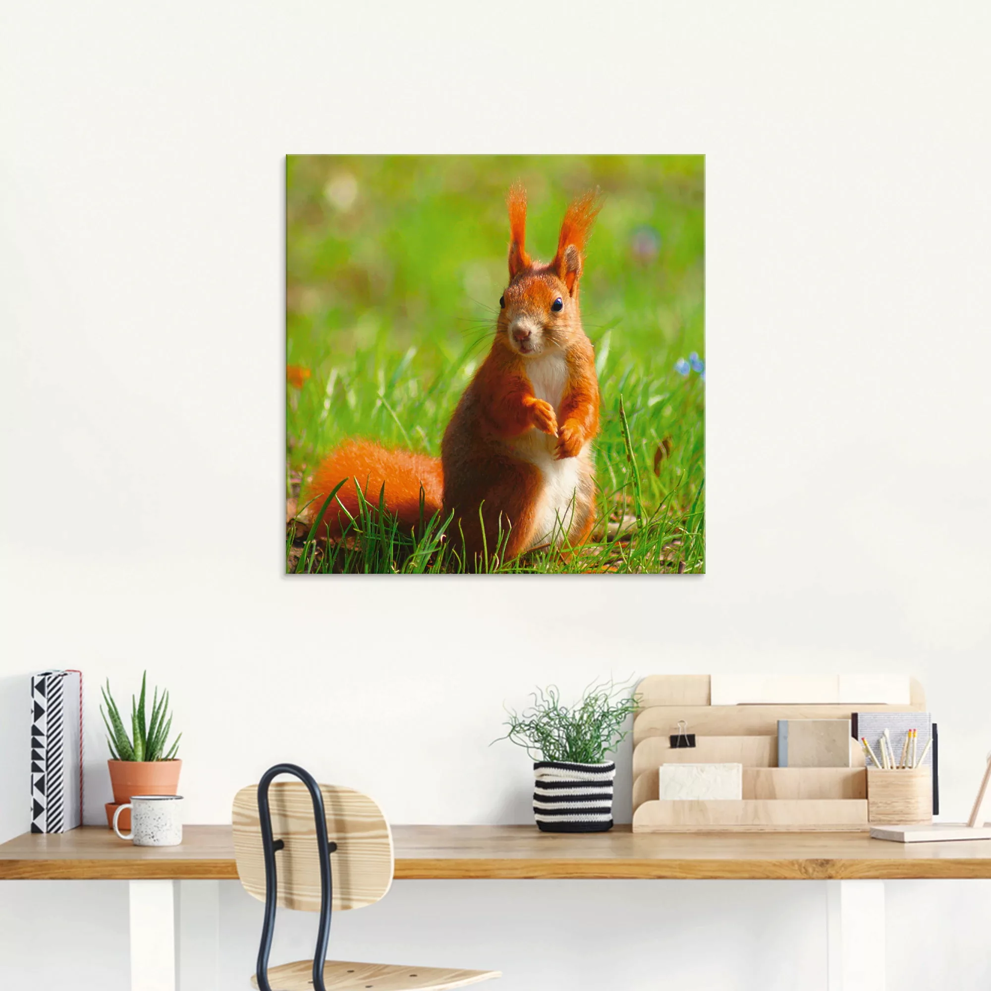 Artland Glasbild "Eichhörnchen Kontakt", Wildtiere, (1 St.), in verschieden günstig online kaufen