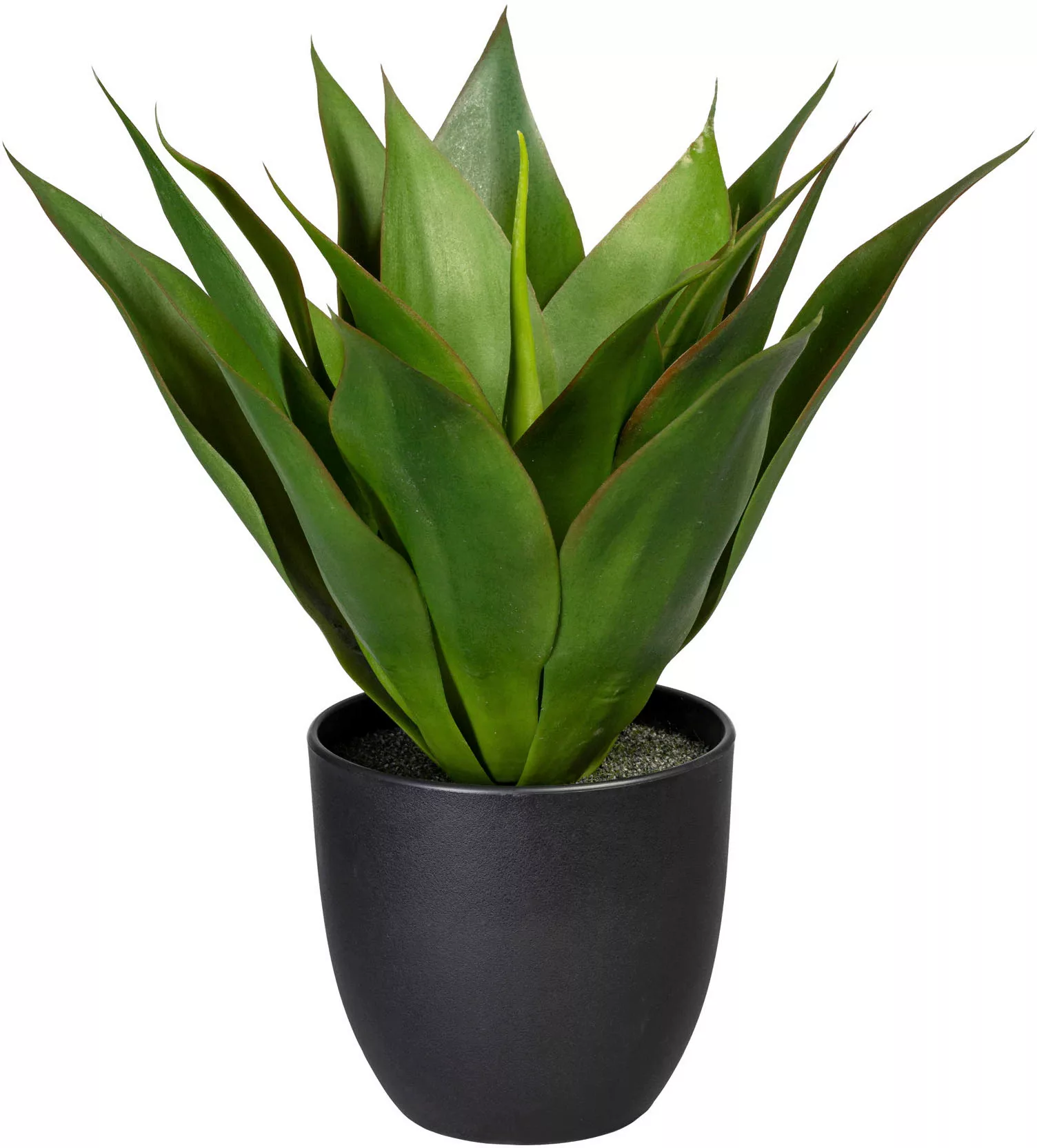 Creativ green Künstliche Zimmerpflanze "Agave" günstig online kaufen