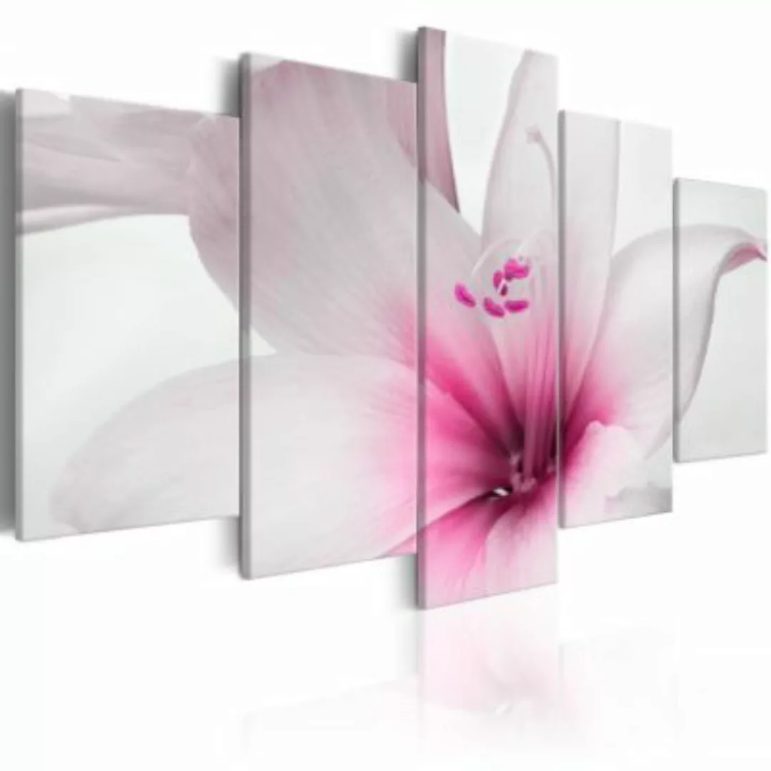 artgeist Wandbild Amarylis: Pink Charm rosa/weiß Gr. 200 x 100 günstig online kaufen