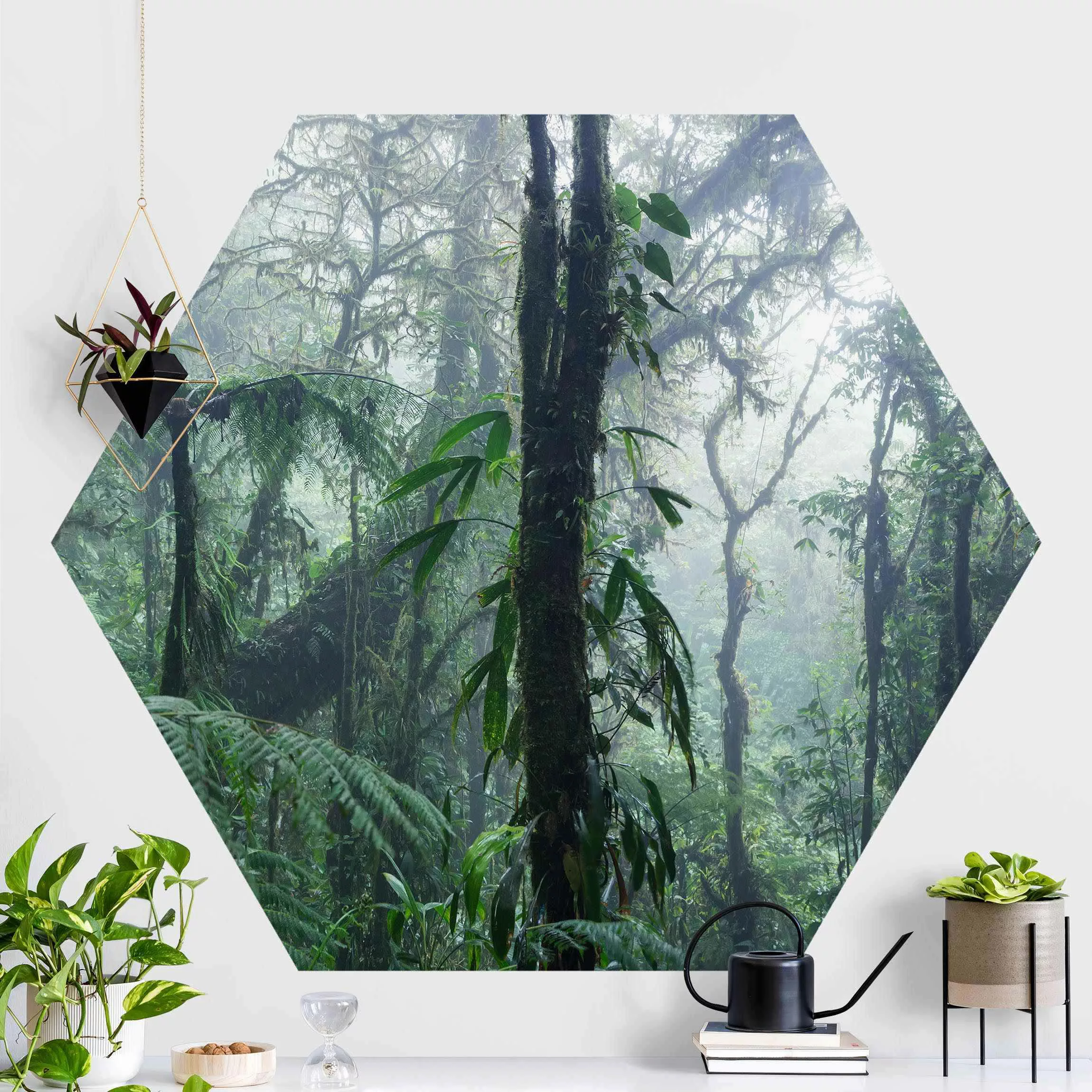 Hexagon Fototapete selbstklebend Monteverde Nebelwald günstig online kaufen