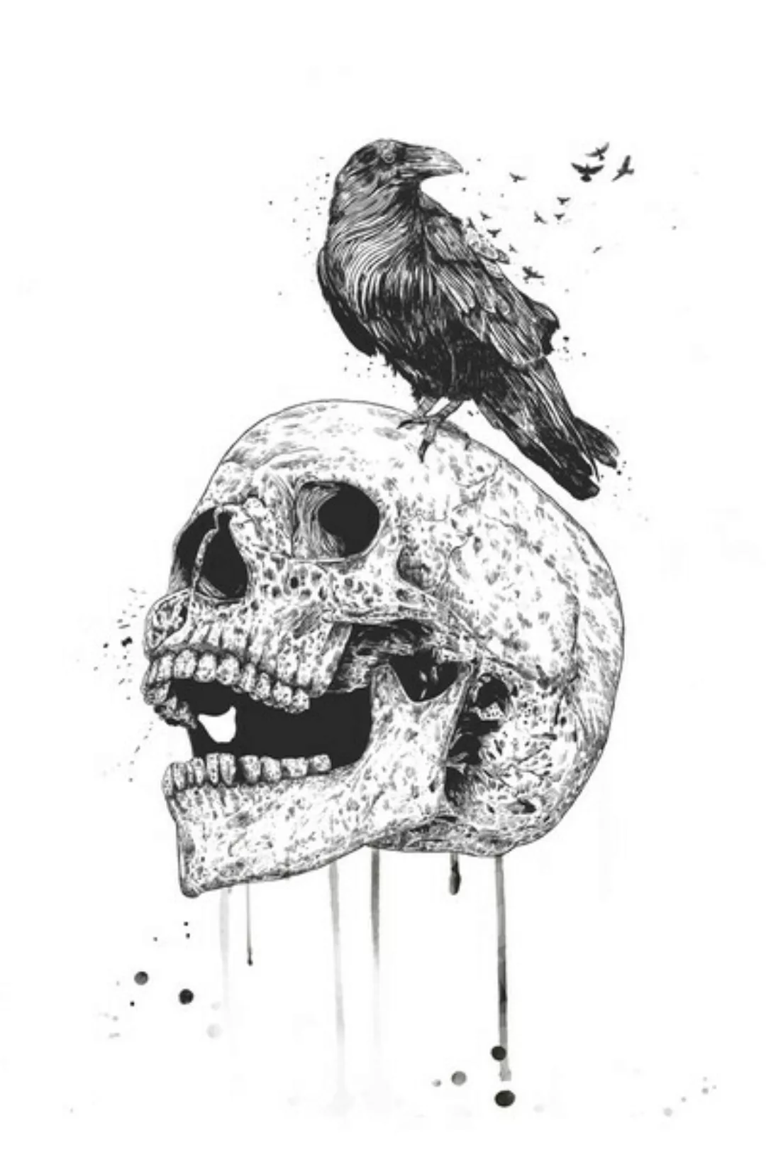 Poster / Leinwandbild - New Skull günstig online kaufen