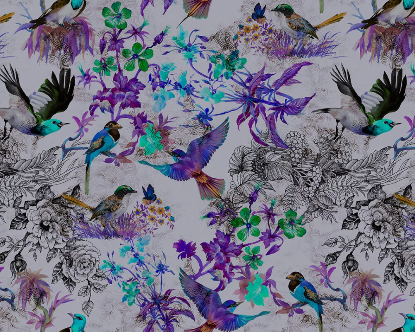 Fototapete "funky birds 2" 4,00x2,70 m / Glattvlies Perlmutt günstig online kaufen